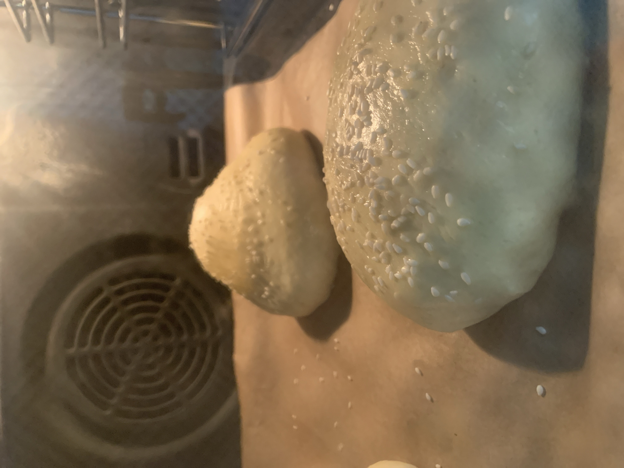 An interior shot of an oven reveals two uncooked bread rolls dusted with sesame seeds, placed on baking paper. The rolls are light in color, suggesting they are in the early stages of baking or have just been prepared. The oven's interior is visible, with a circular fan grate on the left side and oven racks on the right. The lighting is dim, characteristic of an oven's interior. The image does not contain information about the city of Hrodna, Belarus.