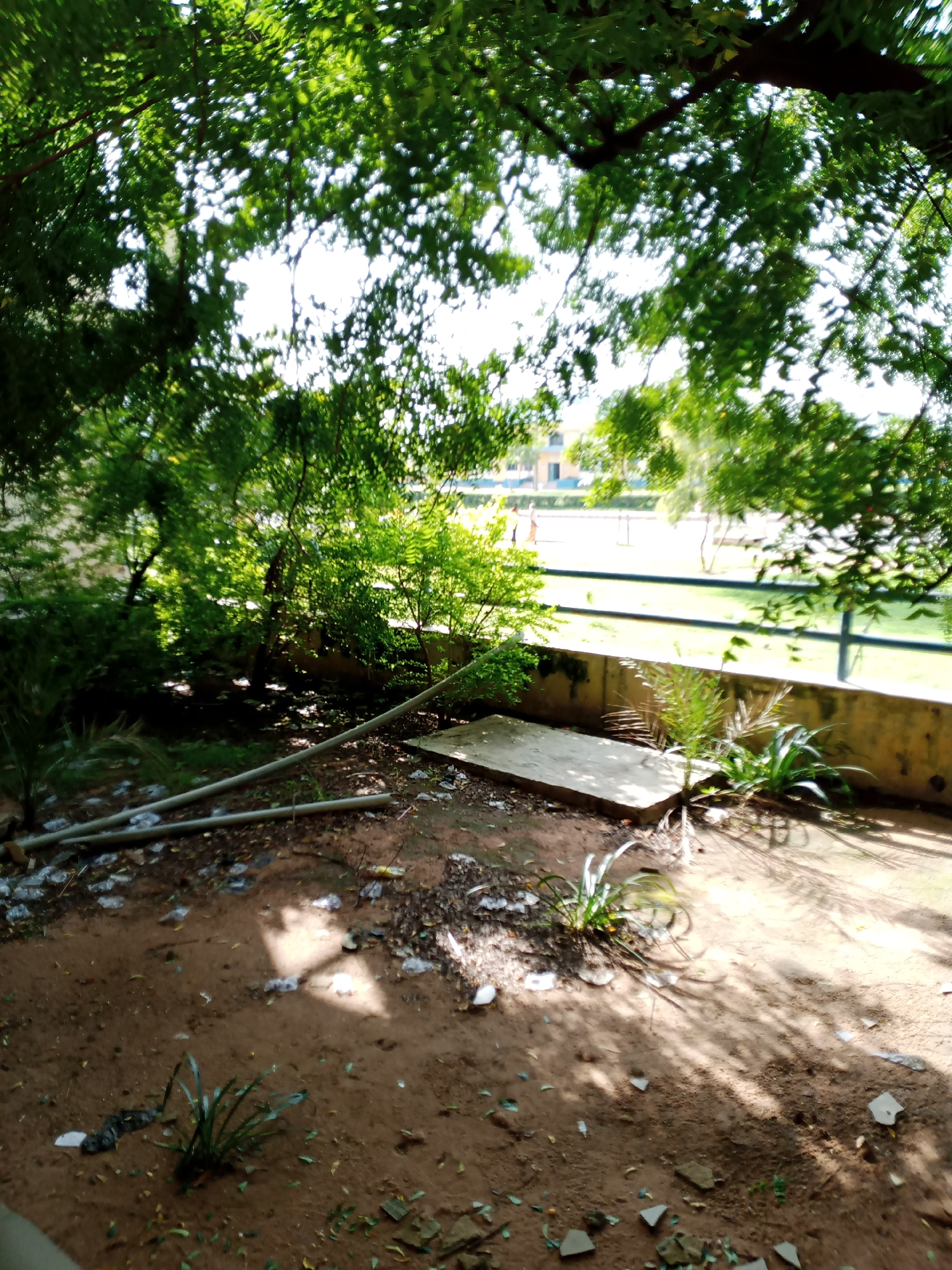 The image depicts an outdoor scene beneath dense green foliage, suggesting a park or a shaded area. The ground is predominantly red earth, littered with debris including plastic bags, leaves, and some broken concrete pieces. Two grey pipes are visible, lying diagonally on the ground in the foreground, partially obscured by the foliage and shadows. In the middle ground, a low concrete wall runs horizontally across the image. Beyond the wall, a grassy area is visible, with a fence and some buildings in the distance. The lighting suggests it is daytime, with sunlight filtering through the leaves, creating dappled shadows on the ground. The overall impression is one of an unkempt outdoor space. The location is Jalingo, Nigeria.