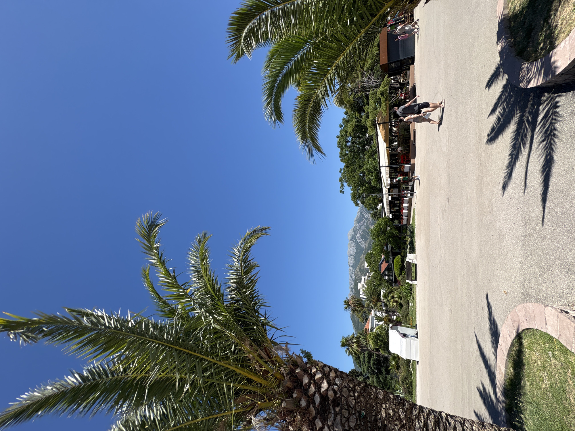 This image depicts a sunny day in Bar, Montenegro. In the foreground, a large palm tree dominates the left side of the frame, its fronds casting shadows on a paved area. In the midground, a couple walks together across the paved area. Behind them, several outdoor seating areas with white awnings are visible, suggesting a cafe or restaurant. Further in the background, lush green trees and buildings are set against a backdrop of distant mountains under a clear blue sky. The scene appears to be a public space, possibly a promenade or park, within the city of Bar.