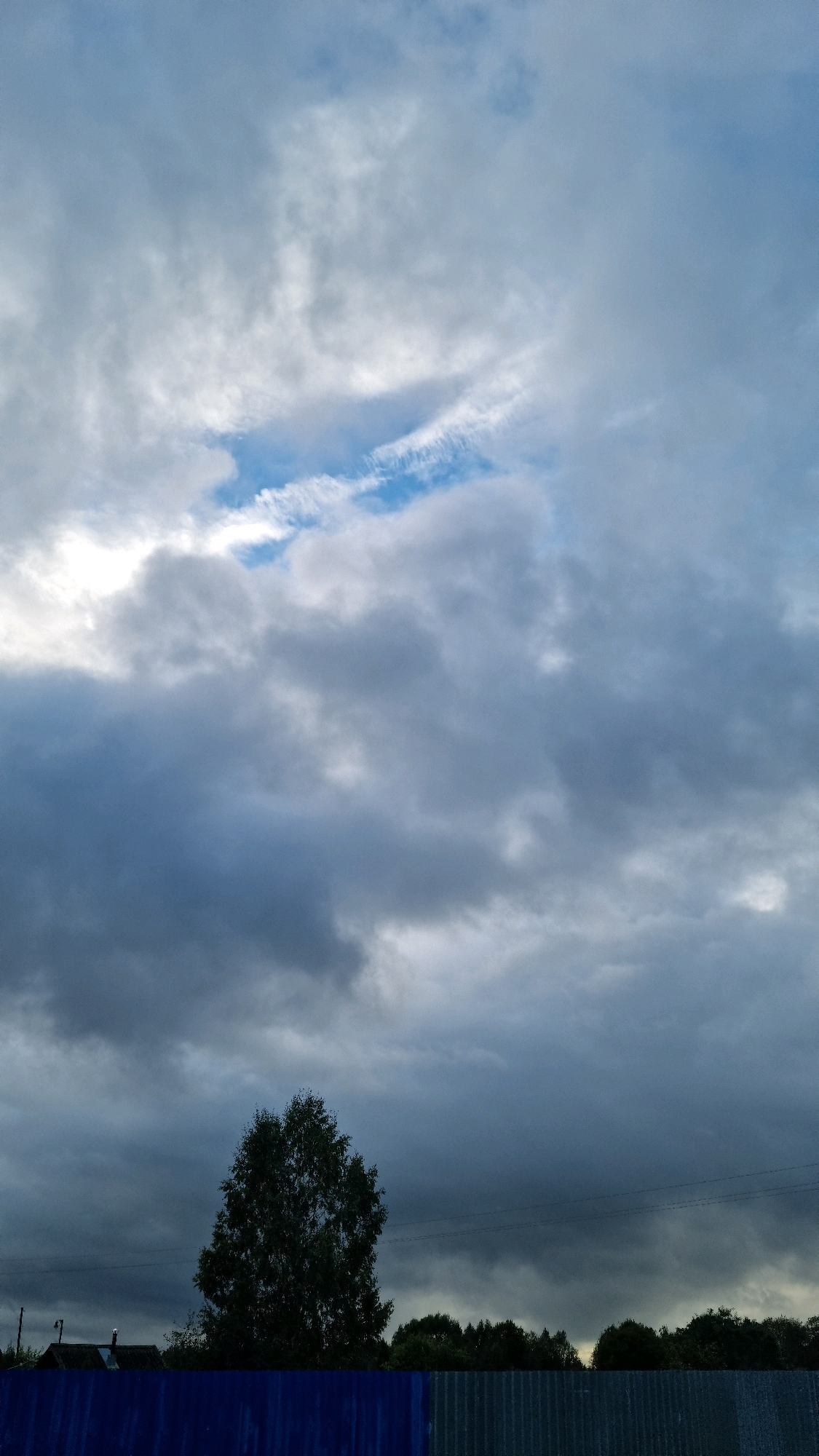 A lone, dark-leaved deciduous tree stands silhouetted against a cloudy sky in Vysokoe, Russia. The sky is dominated by grey clouds with patches of lighter sky peeking through. A dark blue fence runs horizontally across the bottom of the image, with a line of trees visible behind it, extending to the horizon. Power lines are visible against the cloudy sky.