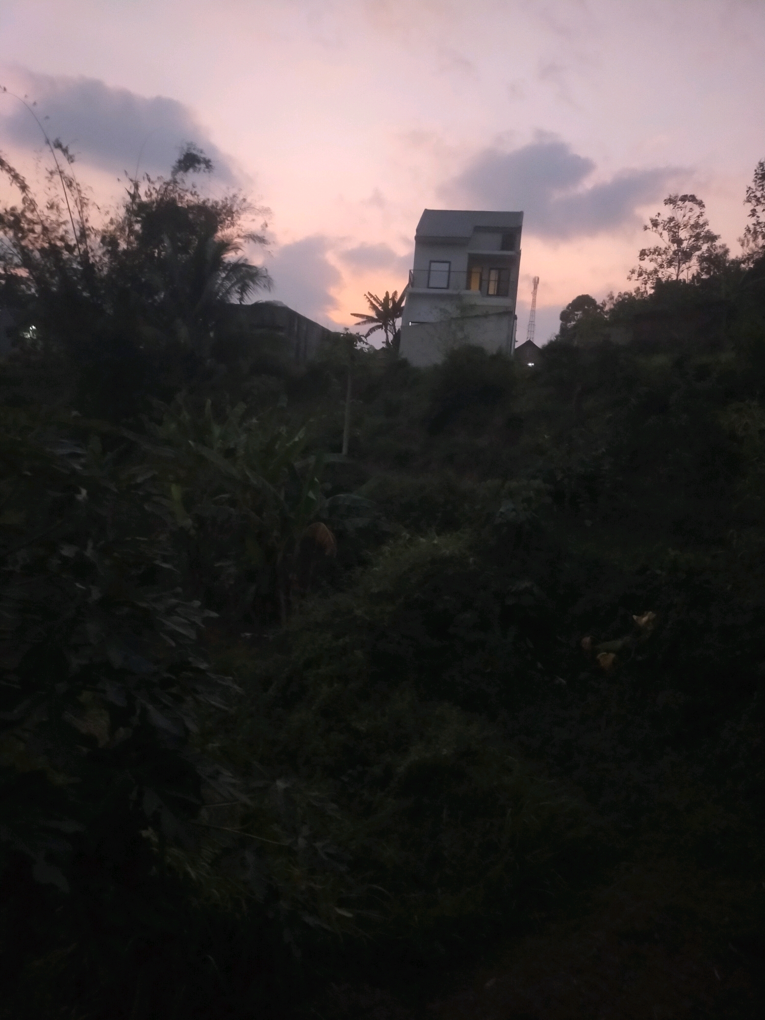 The image depicts a dusky scene in Bululawang, Indonesia. A narrow, multi-story modern building stands on a hill amidst dense vegetation. The sky is a soft gradient of pink and purple, with scattered clouds. In the foreground, dark foliage dominates, with some bamboo stalks visible on the left. A lone antenna tower can be seen in the background behind the building. The overall impression is one of a quiet, rural twilight setting on the outskirts of the city. There are no people visible in the image.