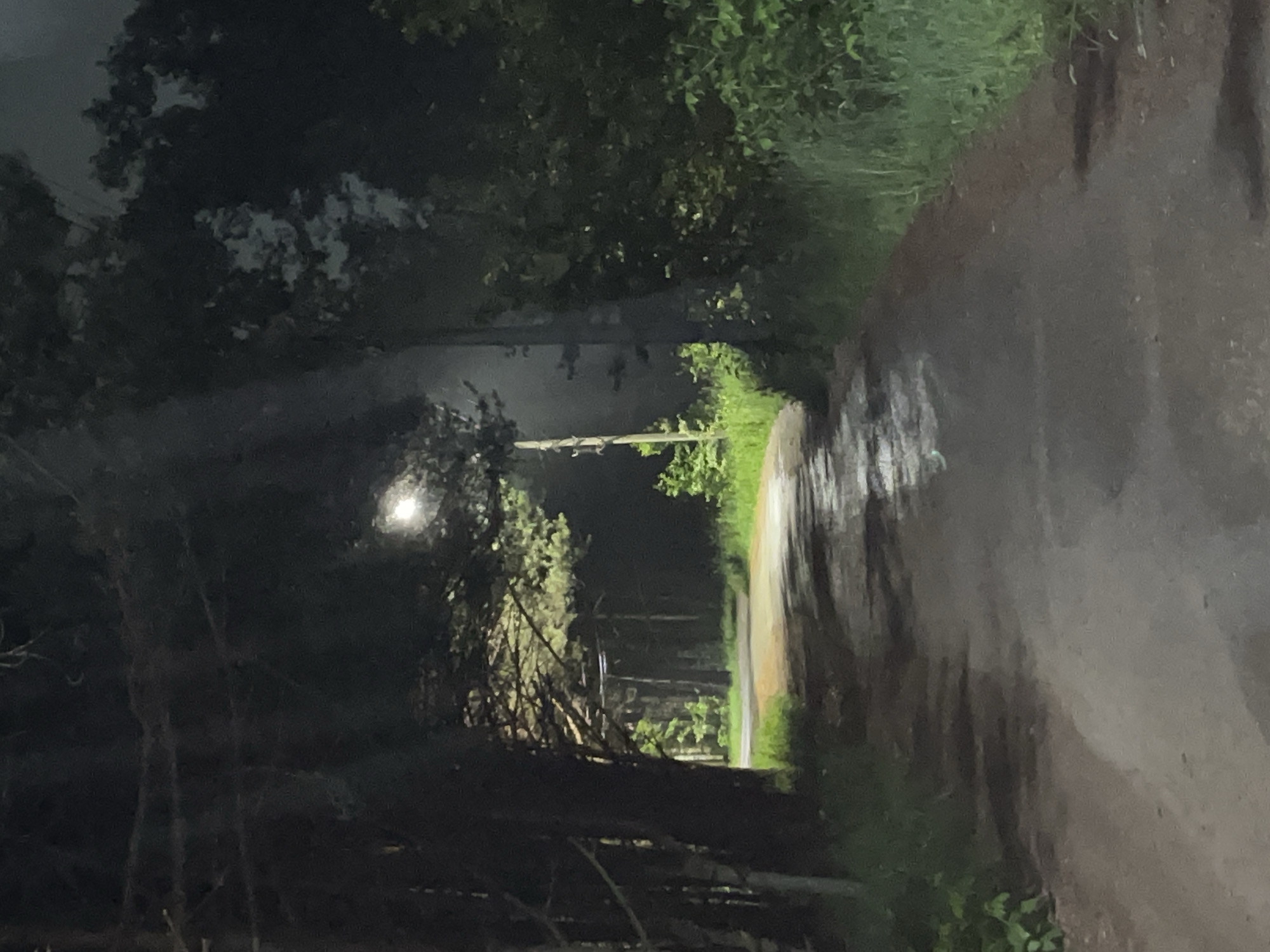 This image displays a nocturnal scene of a narrow, unpaved road traversing a wooded area in the city of Chaikovsky, Russia. A single street lamp, positioned centrally in the upper half of the frame, is the primary light source, emitting a bright white light and casting distinct rays downwards. The road surface appears damp and reflective in various patches, suggesting recent precipitation or high humidity. Dense tree lines flank both sides of the road, creating a shadowed canopy; the trees on the left are characterized by darker, possibly coniferous, foliage, while those on the right exhibit broader, lighter green leaves closer to the road. The street lamp illuminates a section of the road and the immediate foliage, creating strong contrasts with the deep shadows in the background and beneath the trees. No individuals, animals, or vehicles are visible in the scene. The environment is dark, quiet, and semi-rural, typical of an unpopulated area at night.