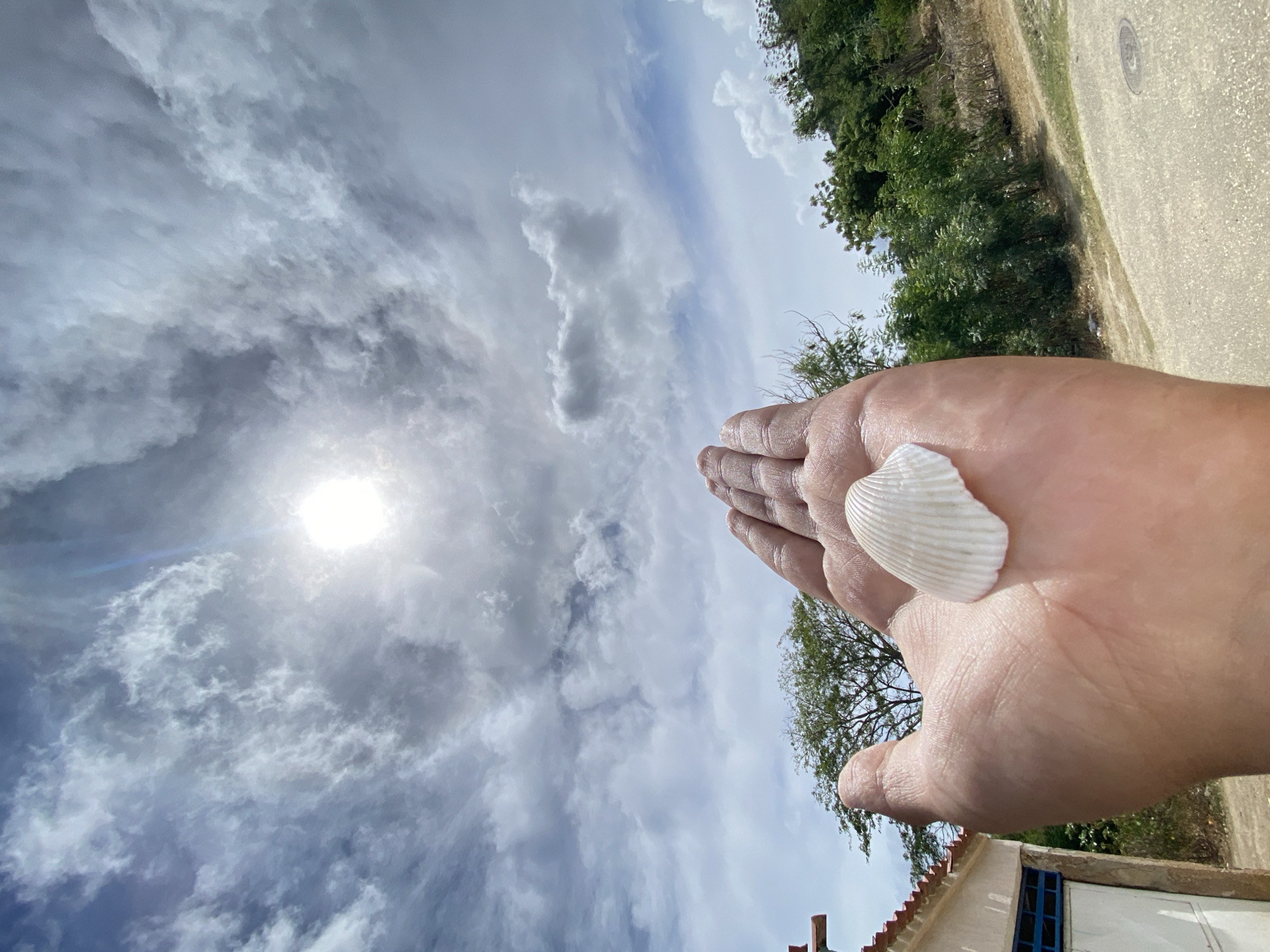 The image displays an upward-angled outdoor scene located in Juan Griego, Venezuela, under a bright, partly cloudy sky. In the foreground, a light-skinned human hand is presented with its palm open and facing upwards, holding a single, ribbed white bivalve seashell. The sun is visible as a bright, luminous circle in the upper center of the frame, partially obscured by scattered white and grey cloud formations. The background features dense green foliage, including trees and bushes, particularly on the right side and centrally. To the far left, a portion of a light-colored building with a terracotta-tiled roof and a blue-framed window or vent is visible. A light-colored, possibly paved ground surface or road with a circular utility cover is discernible in the lower-right background.