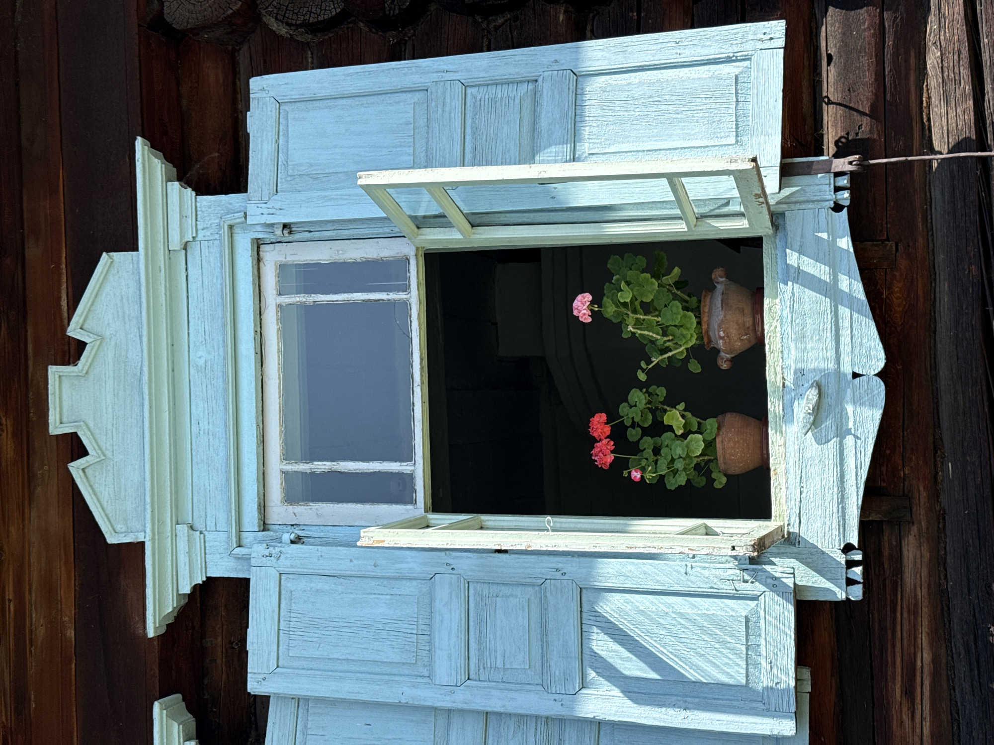 The image shows an open wooden window with light blue shutters on a log cabin in Shushenskoye, Russia. Two potted plants with pink and red flowers sit on the windowsill. The window frame is white and slightly weathered. The shutters are ornately carved and decorated with a scalloped edge. The log cabin exterior is made of dark brown wood. The sunlight casts shadows on the shutters and the cabin. The overall impression is of a rustic and charming rural scene.