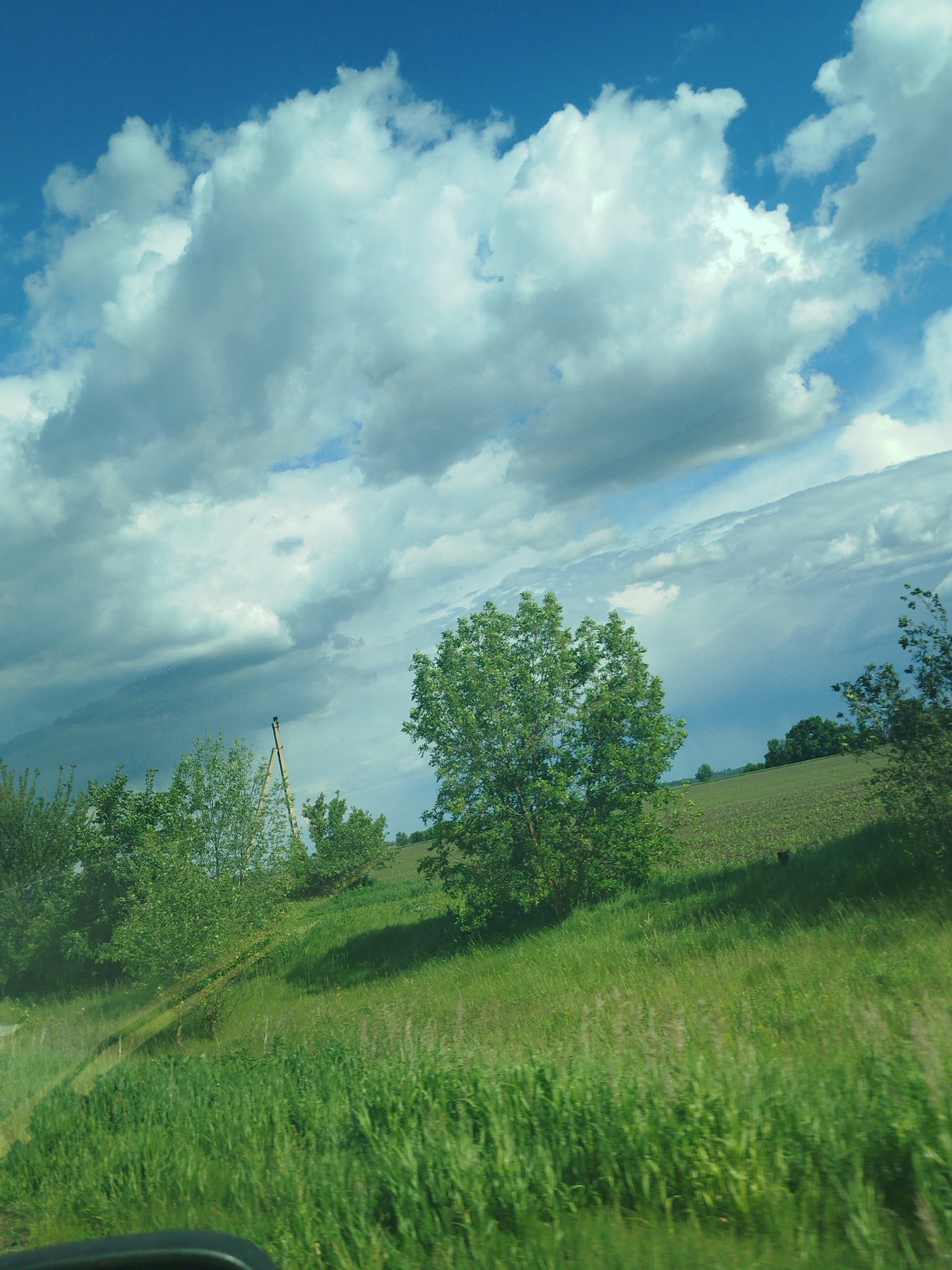 The image depicts a rural scene, likely taken from a moving vehicle. The foreground features a grassy field with tall green vegetation. A few trees are scattered across the middle ground, with one prominent tree centrally positioned. Behind the trees, a field is visible, likely farmland with crops or vegetation. In the background, the sky is predominantly blue, with large, billowing white clouds covering a significant portion. A utility pole is visible among the trees on the left side. Due to the absence of distinctive landmarks and close-up details, specific details about the city of Ruda, Ukraine, cannot be verified from the image alone.