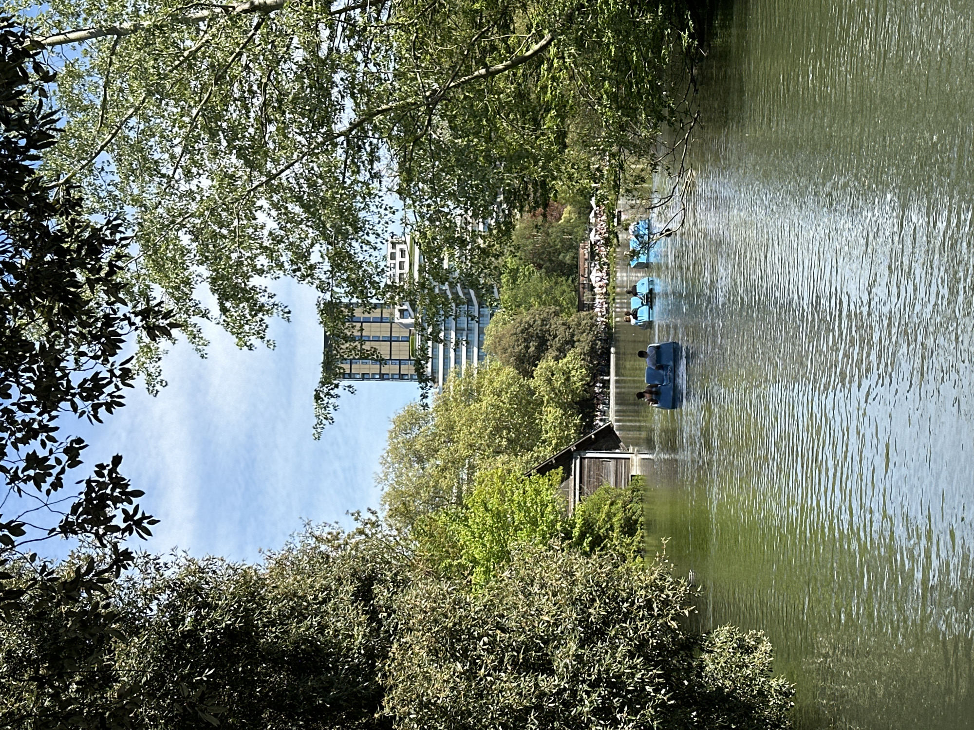 The image captures a view of a pond or lake, likely in a park setting in London. The water is slightly choppy, indicating a light breeze. Several blue paddle boats are visible on the water, with people in them. Lush green trees and foliage surround the pond, with branches extending over the water's edge. In the background, there is a modern, multi-story building peeking through the trees. A small wooden boathouse or structure is also visible on the water's edge. The sky is partly cloudy, with patches of blue visible through the trees. The overall scene suggests a tranquil, recreational environment in an urban setting.