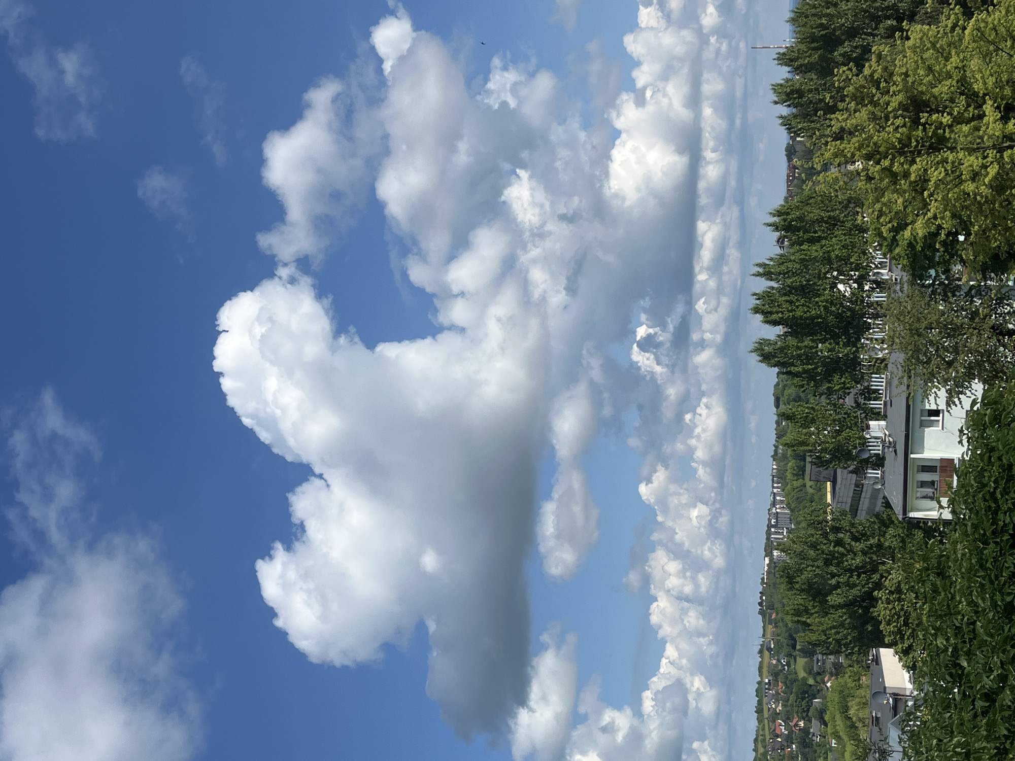 This is a medium-angle, high-altitude, eye-level outdoor shot of a bright, sunny day with a blue sky and scattered clouds over a city. In the foreground, lush green trees fill the bottom of the frame, with the tops of buildings peeking through. A light-colored building with a dark roof and a wooden balcony is visible in the lower right quadrant. Beyond the trees, a dense line of taller trees stretches across the mid-ground, obscuring many of the buildings behind them. In the distance, a city skyline is visible, featuring a mix of residential buildings and some taller structures. The sky is a vibrant blue, dotted with large, fluffy white cumulus clouds, some of which appear to be casting shadows on the landscape below. The sun is not directly visible but is implied by the bright lighting and shadows. There are no people or animals visible in the image.
