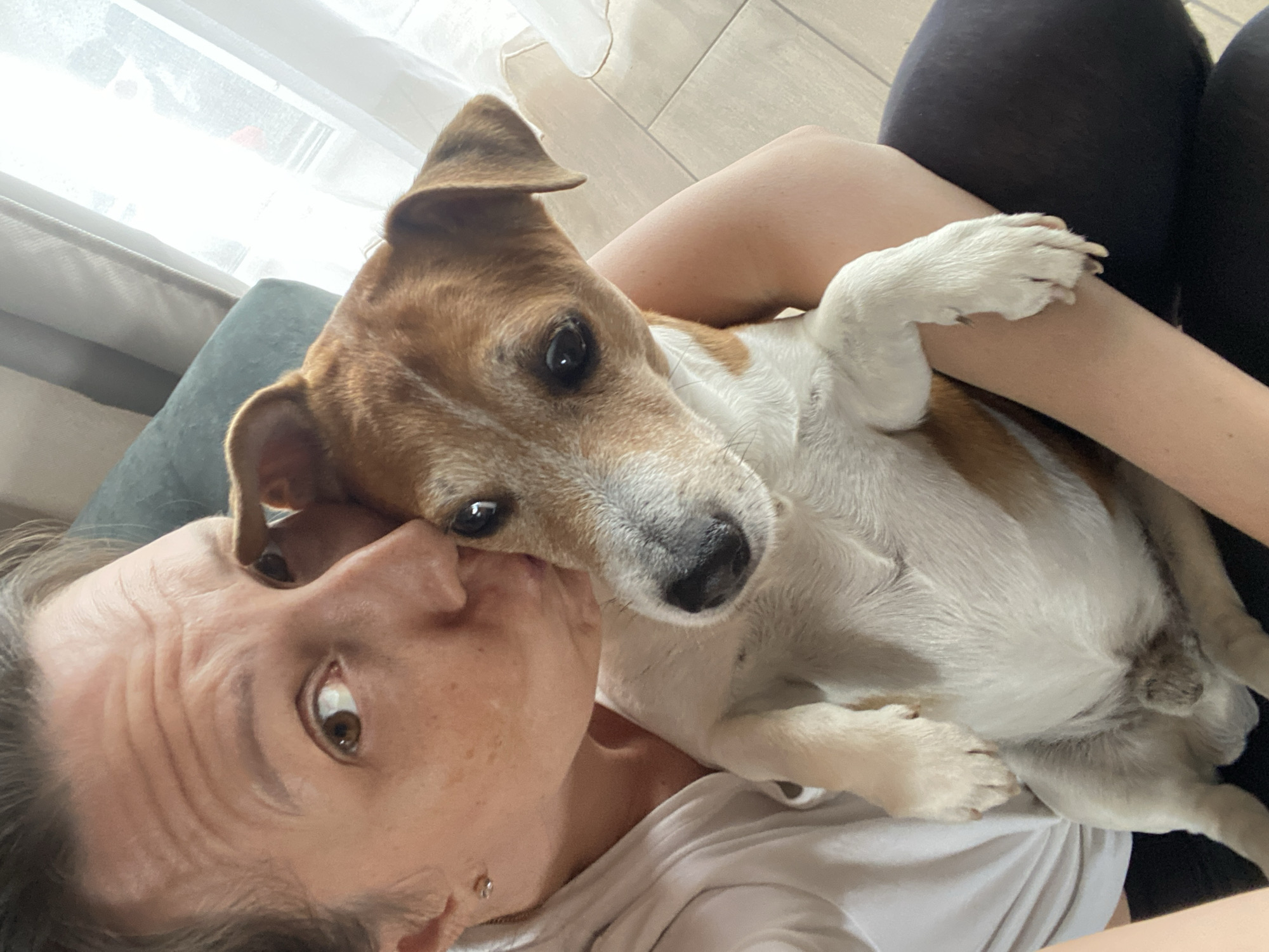 A light-skinned person with brown hair and brown eyes is holding a brown and white Jack Russell Terrier-type dog. The dog's head is resting against the person's face, and the person is looking up at the camera with wide eyes. They are wearing a white shirt, and the dog is lying on their chest. A dark pair of pants are seen above the person's body. In the background, there is a window with sheer white curtains and a glimpse of a floor. The image does not contain any location indicators or any information related to the city of Chaikovsky, Russia.