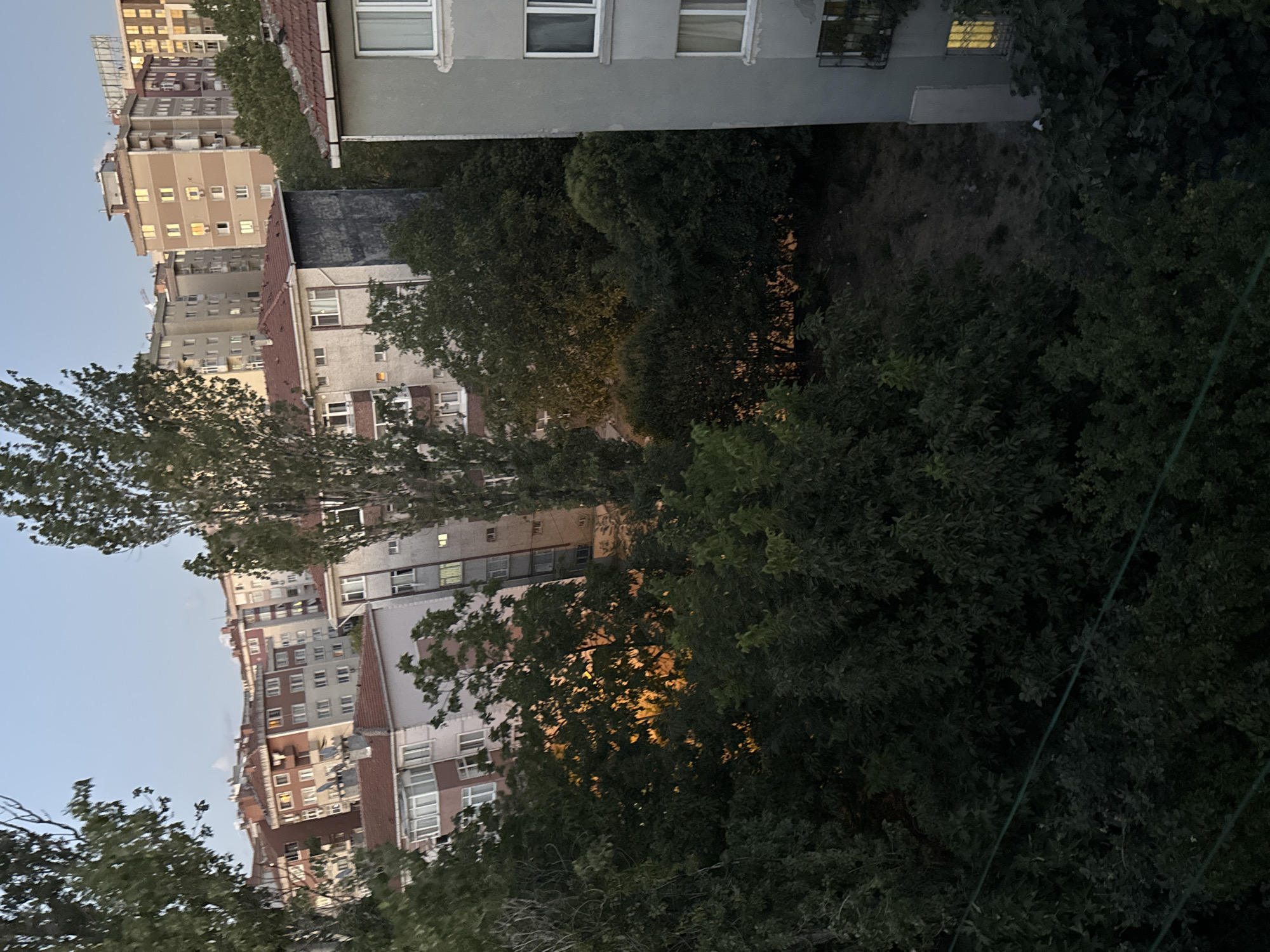 The image depicts an urban landscape at dusk in the Gungoren district of Istanbul, Turkey. A cluster of apartment buildings, varying in height and architectural style, dominates the background. Some buildings feature reddish-brown tiled roofs, while others have flat, grey facades. Numerous windows are visible, with some illuminated by warm interior lights, suggesting the presence of inhabitants. Lush green trees, with dense foliage, are interspersed among the buildings and in the foreground, creating a contrast between the natural and built environments. The sky is a pale blue, indicating either early morning or late evening light. The overall scene is one of a residential neighborhood settling into the evening hours.