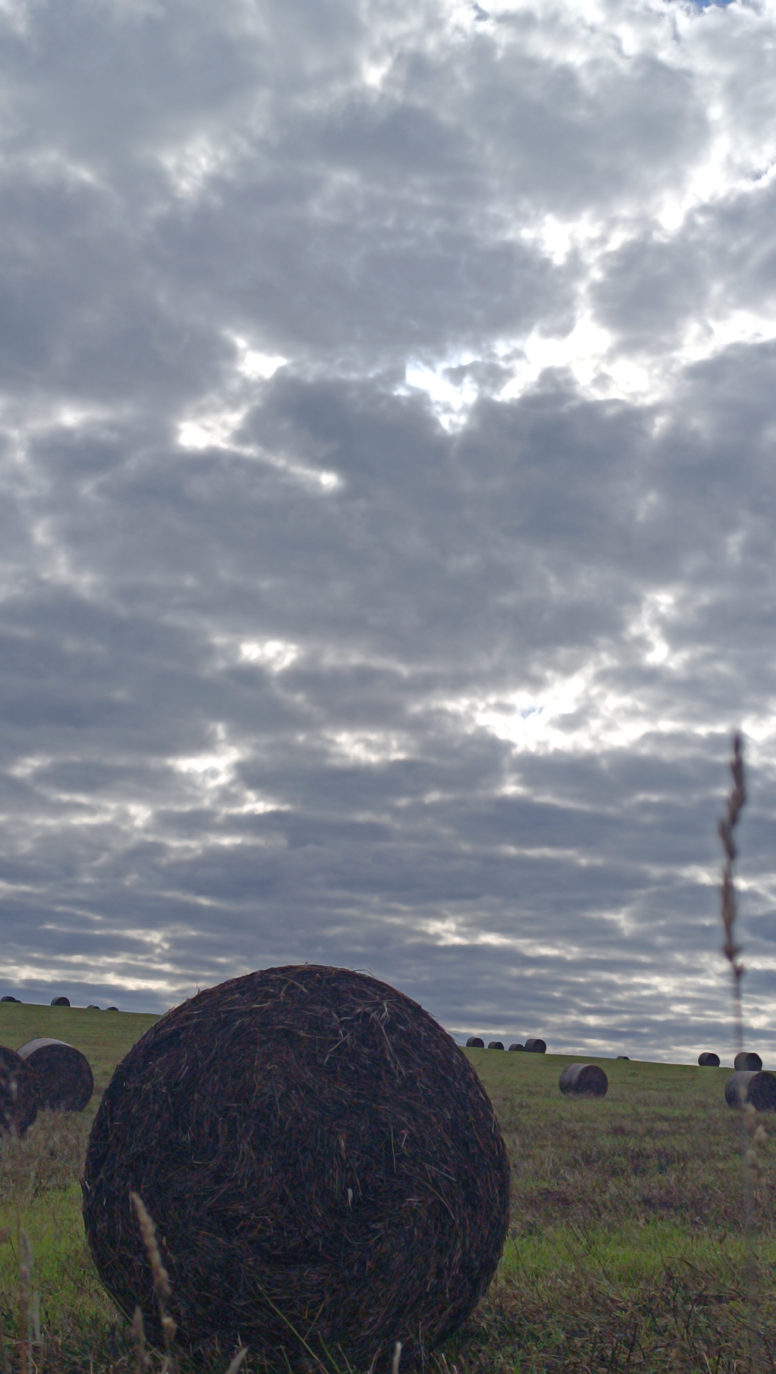 The image depicts a rural landscape under a cloudy sky. In the foreground, a large, dark, round bale of hay is prominently featured on a grassy field. Several other round bales are scattered across the rolling hills in the midground and background. The sky is filled with layers of gray clouds, with some brighter patches indicating sunlight breaking through. The overall atmosphere is overcast and somewhat dramatic. The image does not provide any information about the city of Karsha, Russia, or any specific human activity.