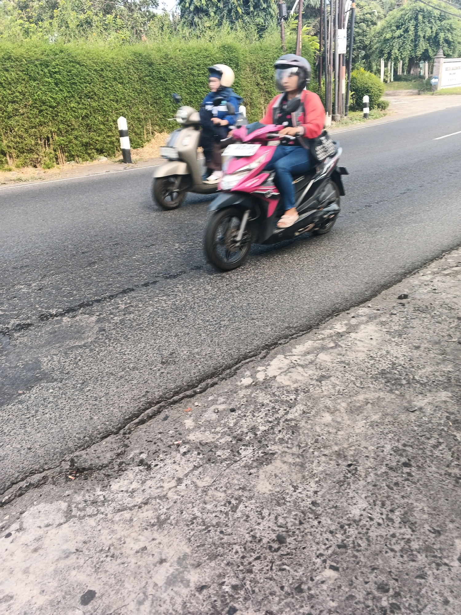 Two individuals on motorcycles are traveling down a road in Ungaran, Indonesia, bordered by a tall, dense hedge on the left and trees and a building in the background on the right. The road surface shows signs of wear and tear, with visible cracks and uneven patches. The first motorcycle, a tan scooter, is carrying a person wearing a blue jacket and a white helmet, who is partially obscured by the second motorcycle. The second motorcycle, a bright pink scooter, is ridden by a person in a red jacket and a grey helmet, who is focused ahead while operating the vehicle. Both individuals are wearing helmets, indicating adherence to traffic safety regulations. The scene captures a moment of daily life in Ungaran, with the motorcycles moving along the road as part of the city's transportation network.