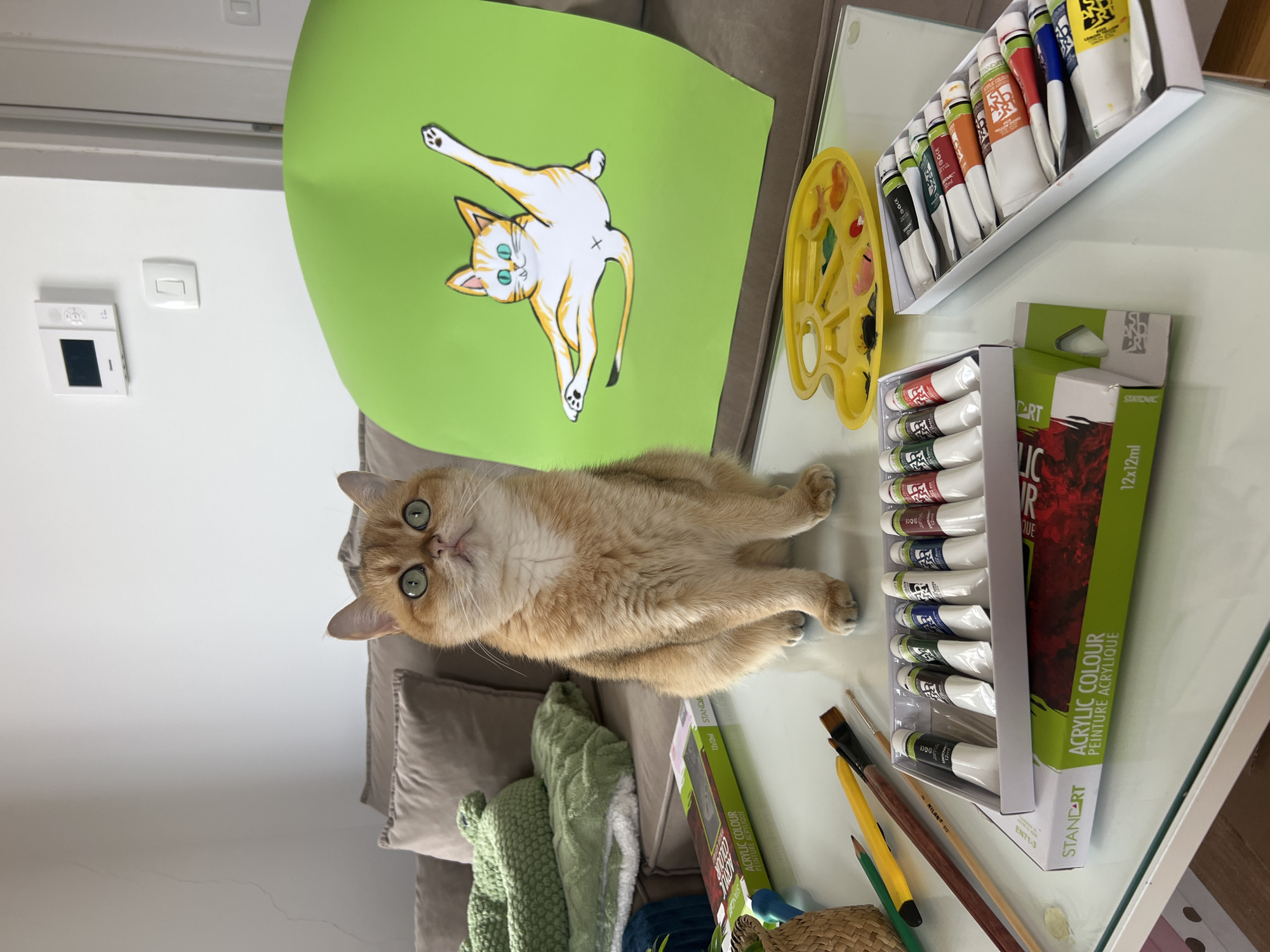 The image captures a domestic scene with a focus on art supplies and a cat. A light-golden cat with striking green eyes lies horizontally across the composition. Beside it is a large sheet of green paper with a cartoon-style drawing of a cat. Next to the paper is a yellow artist's palette and two boxes of acrylic paints sit atop a glass table with a set of paint brushes. A pillow and a knitted blanket sit partially out of view behind the cat. The camera angle is slightly elevated and rotated clockwise, giving a unique perspective of the scene. Text from the paint containers indicate "ACRYLIC COLOUR" and "PEINTURE ACRYLIQUE" "STANDART" and "STATIONAC" "SANDART" are visible. The image provides no explicit information indicating the location in the city of Bar, Montenegro.