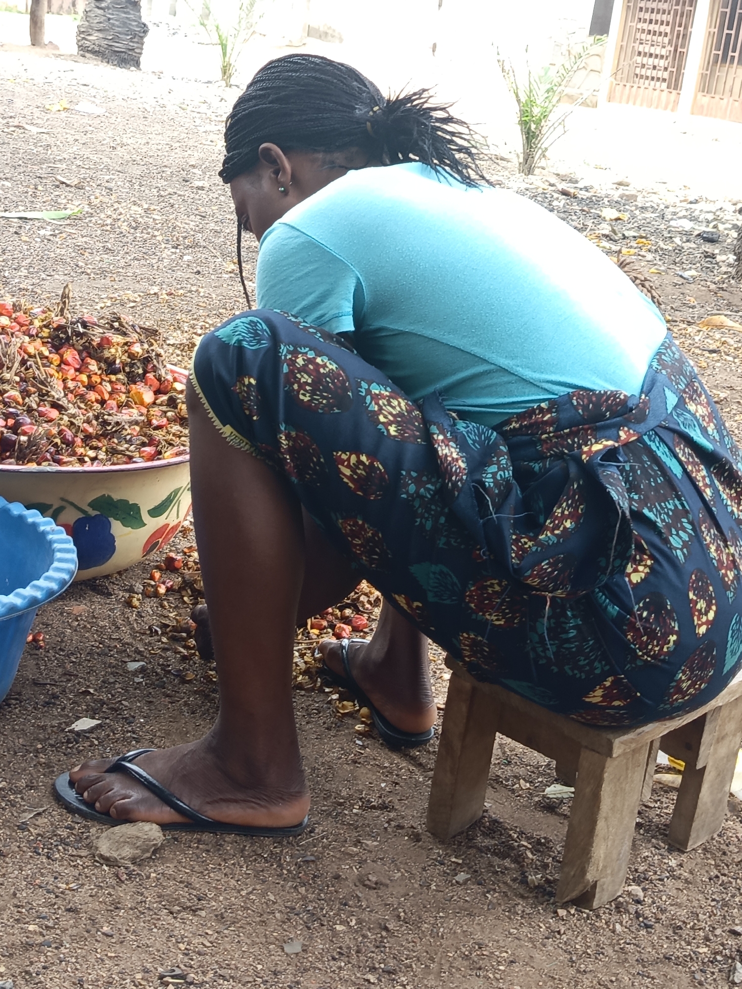 The image shows an outdoor scene in Akwanga, Nigeria, featuring a person from a slightly elevated rear perspective. The subject is an adult female with dark skin and dark braided hair tied back. She wears a light blue short-sleeved t-shirt and a vibrant, patterned wrap-around skirt or wrapper, predominantly dark blue with intricate teal, yellow, and reddish-brown designs. She is seated on a simple, low wooden stool and wears black flip-flops.
The person is leaned forward, apparently engrossed in an activity involving a large, off-white bowl with colorful painted fruit designs. This bowl is brimming with a pile of small, reddish-orange and dark seeds or fruits, likely palm fruits, scattered on the ground around it. A blue plastic bucket is partially visible to the left of the main bowl. The activity appears to be the sorting or processing of these fruits/seeds.
The setting is an open, unpaved area with reddish-brown soil and gravel. In the background, there's the rough trunk of a palm tree, some green foliage, and a light-colored building with a grid-patterned window or gate. The lighting is bright, indicating it is daytime. There is no visible text in the image. The scene suggests a common agricultural or domestic task in a rural or semi-urban setting.