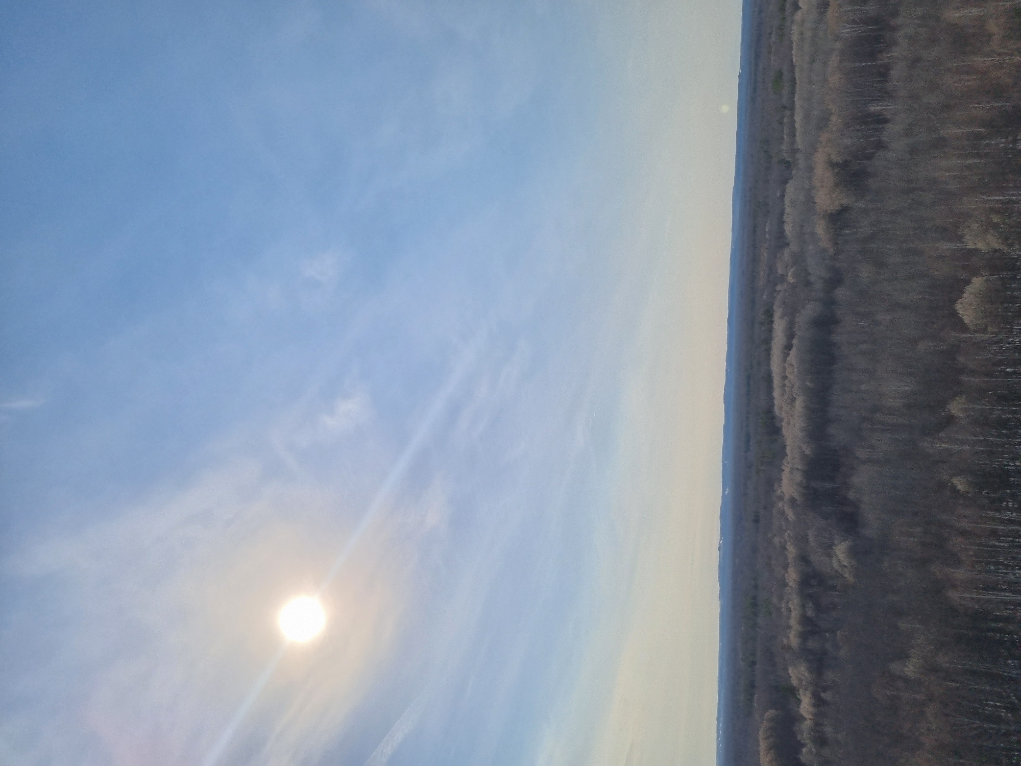 The image shows a horizontal view of a landscape, possibly taken from an elevated position. The right side of the image is dominated by a dense forest, appearing predominantly gray and brown, possibly indicating a winter or early spring season with leafless trees. The left side displays a bright blue sky with wispy clouds. The sun is visible as a bright orb near the bottom left corner. There are no people visible in the image. The location is not evident from the image.