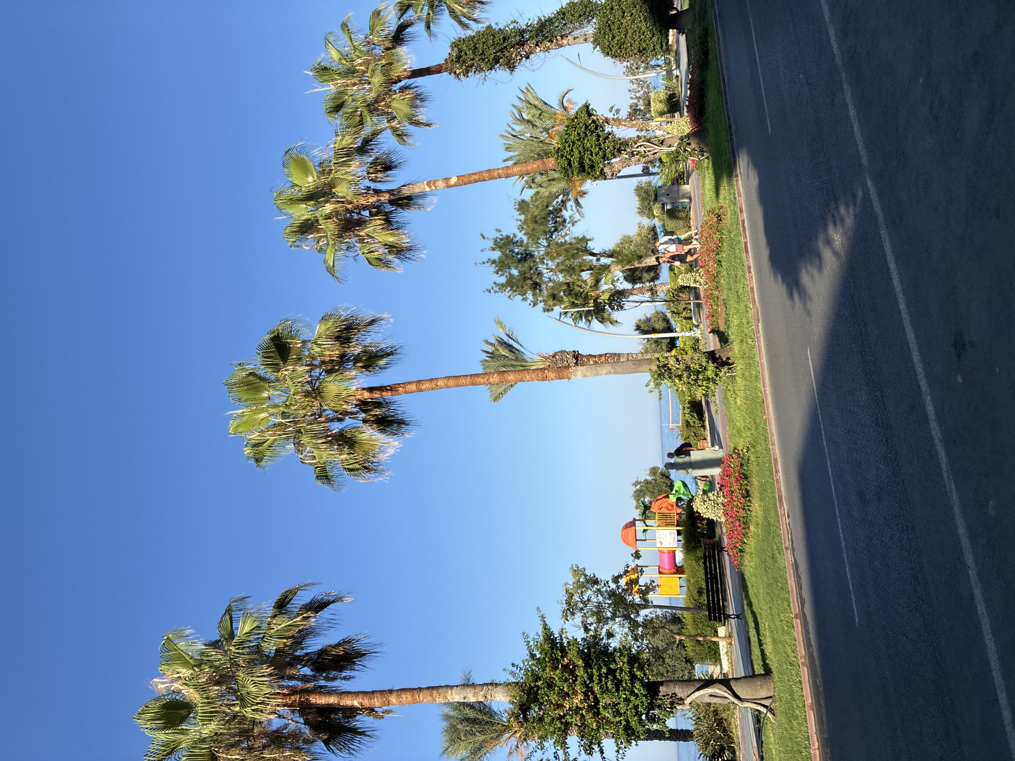 This is a horizontal, eye-level, outdoor photograph of a sidewalk and road on a clear day. The scene is in Alanya, Turkey. On the left of the image are several palm trees, with one tree on the far left being thicker and having vines wrapped around it. A smaller tree with green foliage is also visible on the far left. In the middle ground of the image, there is a playground with colorful structures, a park bench, and a statue of a person. There are a few people walking on the sidewalk. Beyond the playground and park area is the sea, with a volleyball net visible in the distance. The foreground of the image shows a paved road with white lane markings. The sky is a clear, bright blue.