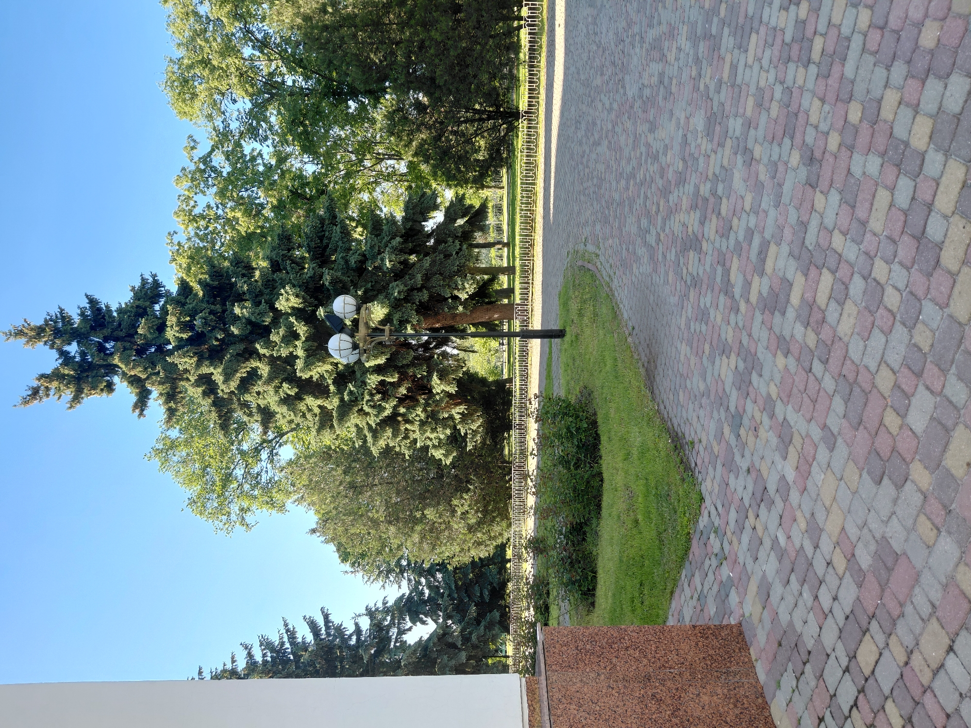 The image captures an outdoor scene in Poltava, Ukraine, under a clear, bright blue sky, suggesting daytime with sunny weather. The perspective is slightly elevated, looking across a paved pathway and a green area towards a line of trees.
In the foreground, the lower right corner shows a portion of a building with a reddish-brown speckled granite facade, while a white, plain wall or structure is visible on the bottom left. A wide, multi-colored paved walkway dominates the right side of the frame, extending from the bottom towards the background. The paving consists of numerous small, rectangular blocks in shades of grey, reddish-brown, and yellowish-beige, arranged in an interlocking pattern.
Adjacent to the paved path, on its left, is a strip of well-maintained vibrant green grass. Beyond the grass, a decorative white metal fence with a repeating semi-circular pattern runs horizontally across the midground.
A black lamppost with two spherical white light fixtures stands prominently on the left side of the image, between the grass and the trees. Behind the fence and lamppost, a variety of trees create a dense green backdrop. Prominent among them are several large conifers with dark green, dense foliage, and further back, deciduous trees with lighter green leaves. The clear blue sky is visible above the treetops.
No people are present, and no specific activities are depicted, giving the scene a calm and serene atmosphere typical of a public park or garden. There is no visible text in the image.