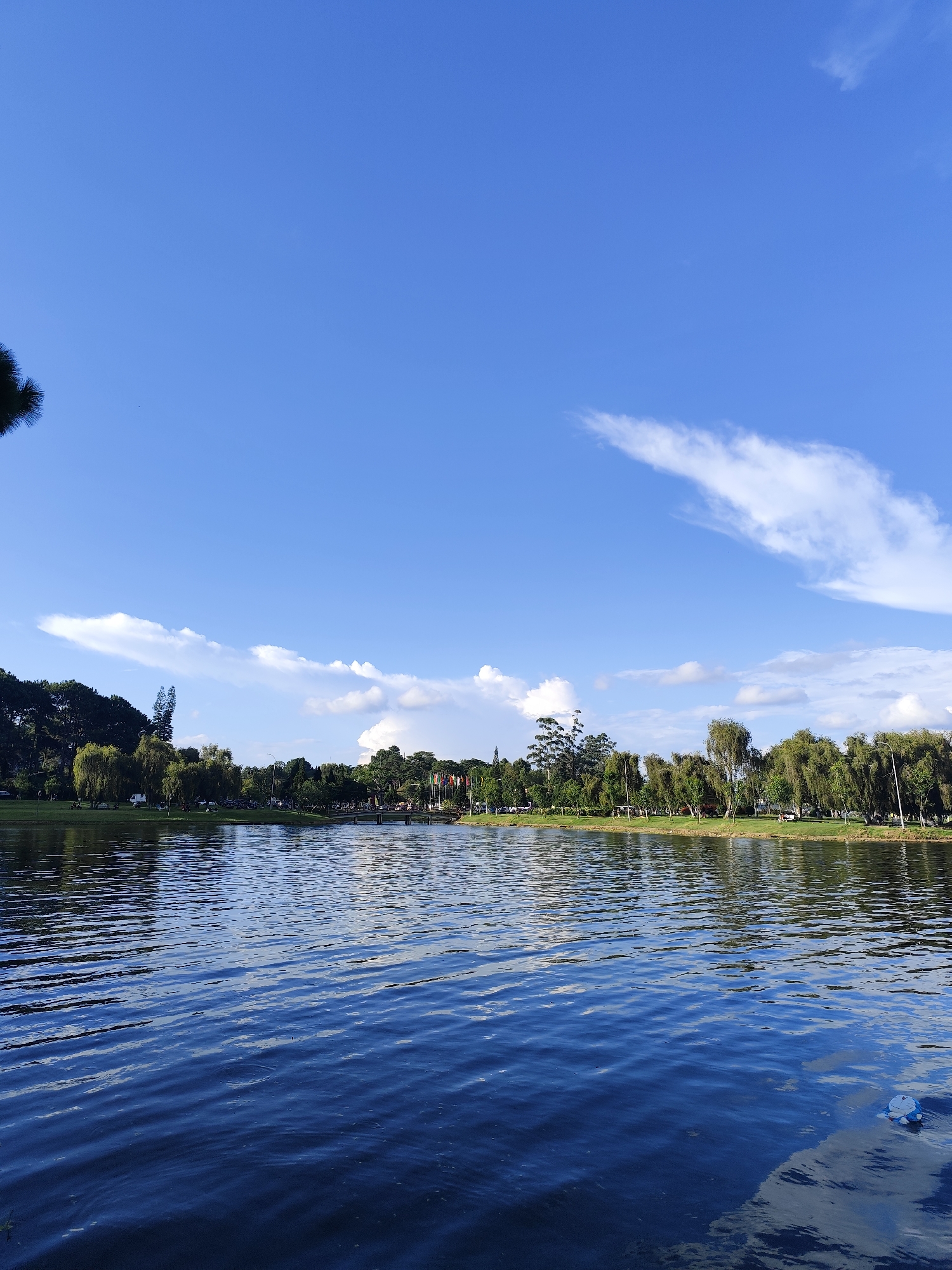 The image depicts Xuân Hương Lake in Đà Lạt, Vietnam, on a clear day with a bright blue sky. The lake's surface is calm, with gentle ripples reflecting the sky and the surrounding greenery. Along the far bank, a line of lush green trees forms a natural border, interspersed with some buildings and a row of flags. A small bridge spans a section of the lake in the distance. The overall scene is serene and picturesque, characteristic of a park setting in a city.