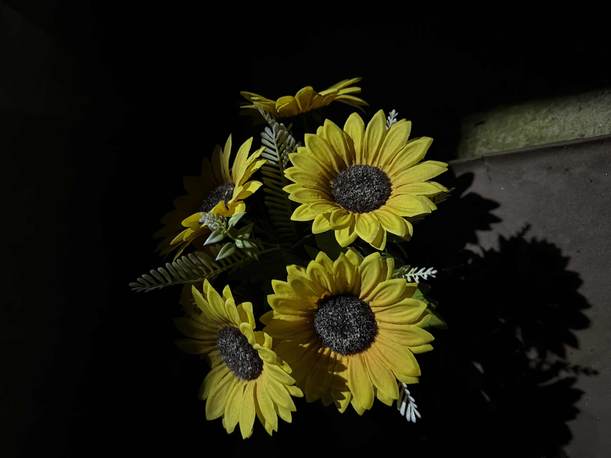 The image features a close-up of a bouquet of artificial sunflowers against a predominantly dark background. There are at least five bright yellow sunflowers with dark, textured centers, arranged with green and some delicate white foliage. The flowers are brightly illuminated from the left, creating strong contrasts and casting prominent, defined shadows of the sunflowers onto a surface to the right. This surface appears textured, possibly concrete or stone, and includes a horizontal line suggesting a ledge or wall. The low-key lighting and deep shadows indicate it is likely evening or night-time, with the flowers being lit by an artificial light source. No activity is taking place; it is a still life. There is no visible text. The scene evokes a dramatic or contemplative mood, highlighting the vibrancy of the sunflowers against the darkness. The location context is Dabene, Bulgaria.