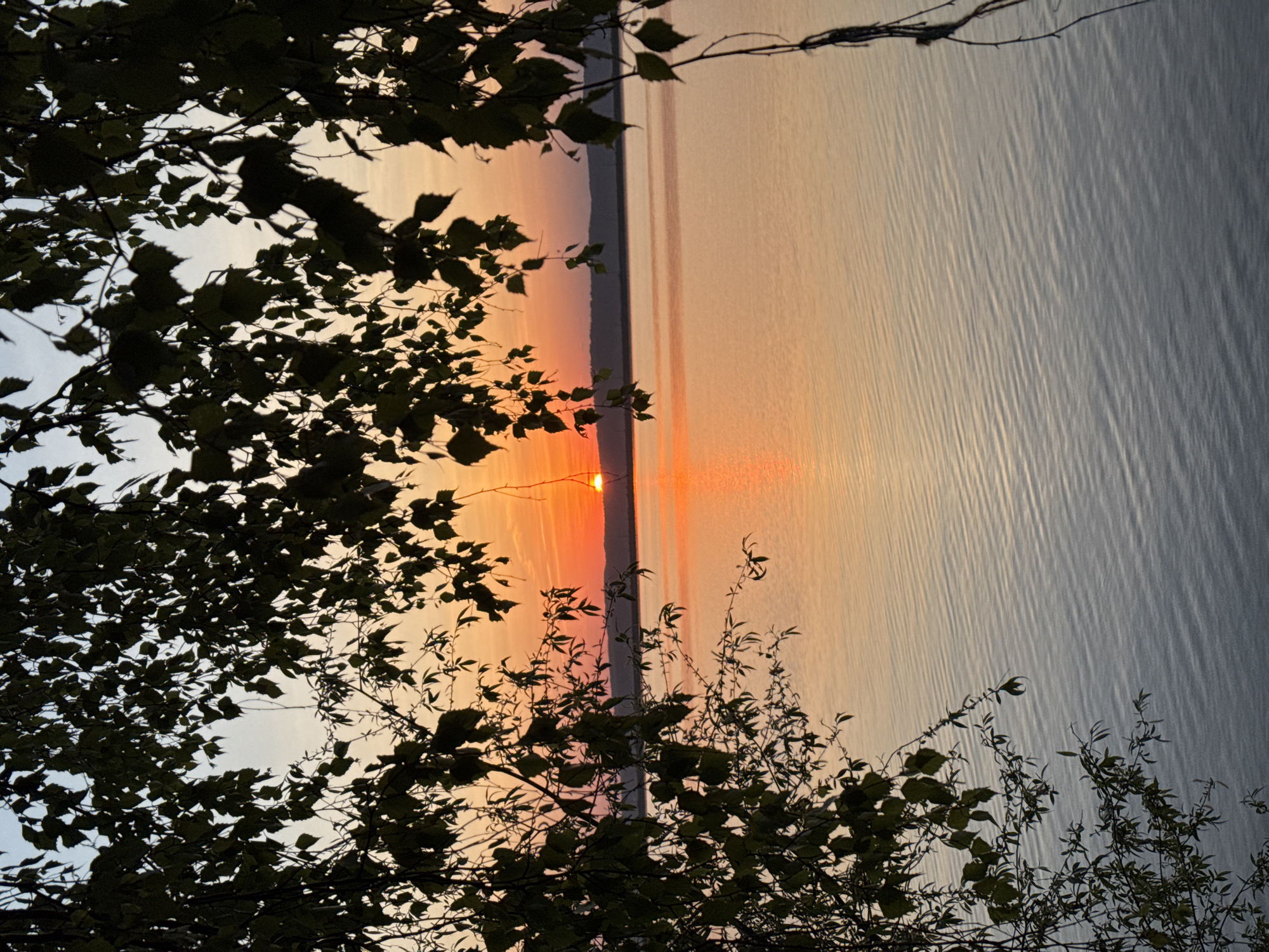 The image shows a sunset over a body of water, possibly a river or lake, observed from a wooded area in the city of Chaikovsky, Russia. The sun, a bright orange orb, is positioned on the horizon, its reflection creating a prominent line of light across the water. The water's surface has a texture suggestive of gentle waves or ripples. Silhouetted tree branches and foliage frame the view, partially obscuring the sun and providing a foreground element. The overall color scheme is dominated by shades of orange, gray, and green. The time of day is likely near dusk due to the low sun position and fading light.