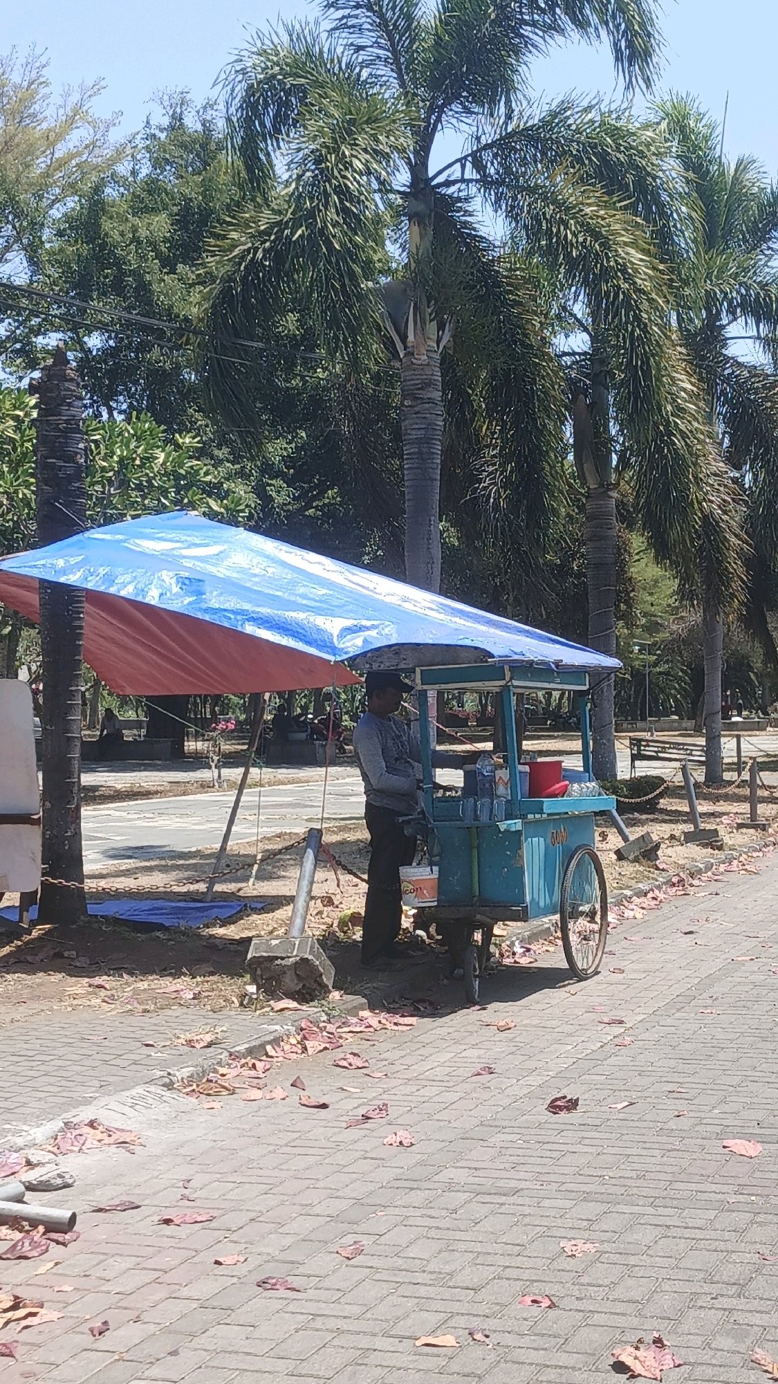 A street vendor stands next to a blue and turquoise cart under a blue and red tarp. The cart has wheels and appears to be selling beverages, as evidenced by a bottle of water and several cups on display. The vendor is wearing a grey long-sleeved shirt, dark pants, and a dark cap. The cart is positioned on a paved walkway lined with fallen leaves. In the background, palm trees dominate the scene, suggesting a tropical or subtropical climate. A few other people are visible in the distance, some sitting and others walking. The overall impression is a sunny day in a park-like area, possibly along a beachfront in Pangandaran, Indonesia, given the prevalent palm trees and open, sunny environment.