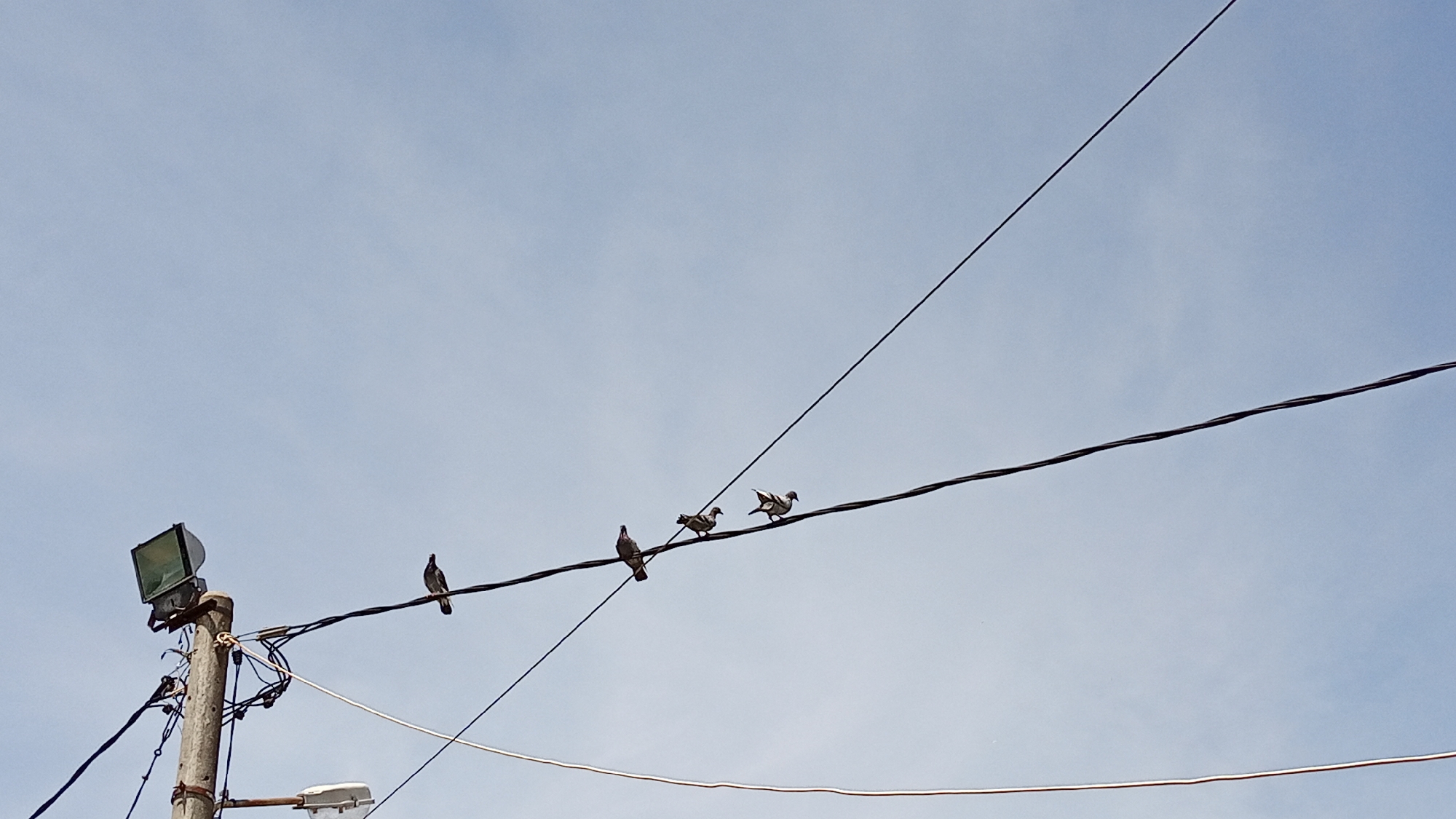 The image shows a clear, pale blue sky with several electrical wires strung across it. On one of the wires, five pigeons are perched. To the left of the frame, a concrete utility pole stands, topped with a floodlight and a network of wires. Another street lamp is visible lower down on the pole. The scene appears to be an outdoor environment within the city of Lhokseumawe, Indonesia, where electrical infrastructure is common and pigeons are often found.