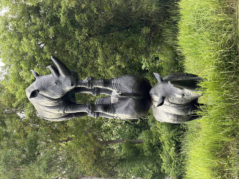 An outdoor sculpture is situated amidst a grassy area with dense green foliage and trees in Pecatu, Indonesia. The sculpture features three dark grey rhinoceros figures stacked vertically. The lowest rhino stands on all fours, partially obscured by tall green grass in the foreground, facing slightly right. An inverted rhino, balanced on its back, rests on the head and shoulders of the lowest rhino. The uppermost rhino stands upright, balancing on the upraised feet of the inverted rhino, facing forward. No people are visible in the scene.