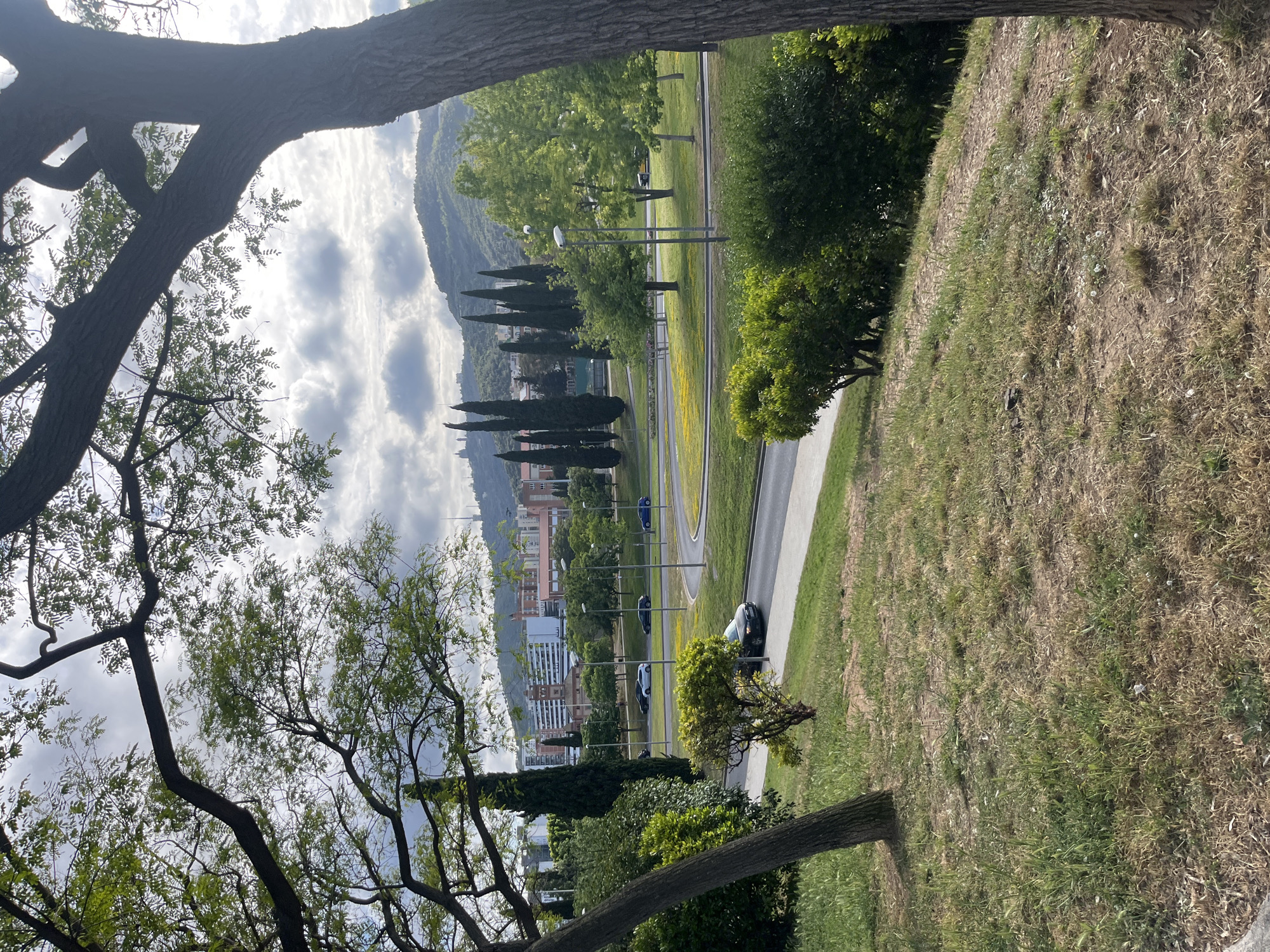 The image shows a view in Barcelona, Spain, likely from a hillside or elevated park. The foreground is framed by the branches and foliage of a tree. In the midground, there is a road with multiple cars moving in a traffic circle. A grassy area slopes down to the road. Beyond the road, there are rows of tall, thin trees. In the background, there are buildings and a large mountain in the distance. The sky is partly cloudy.