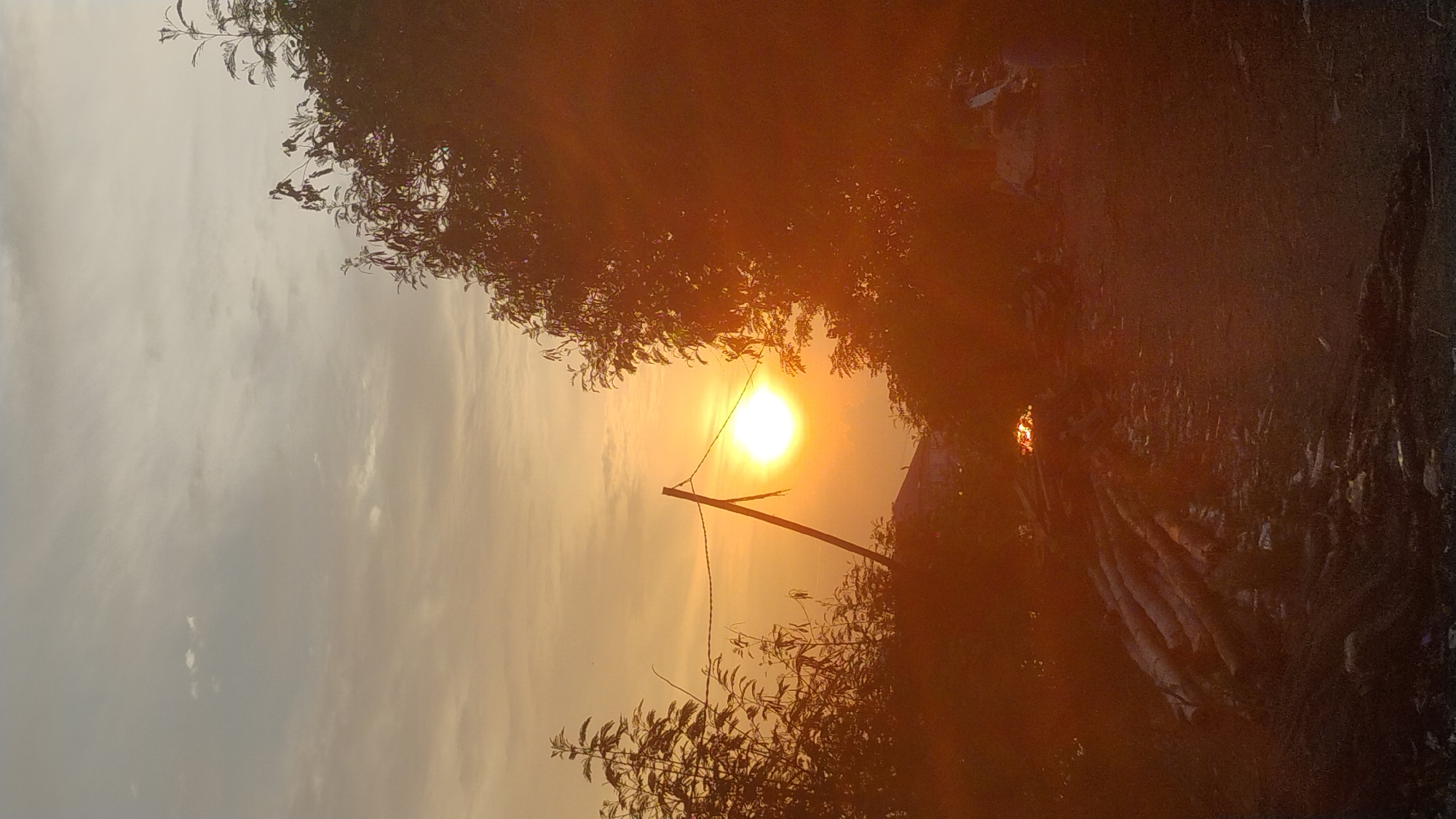 The image captures a sunset scene, likely in the city of Lhokseumawe, Indonesia. The sun, a bright, glowing orb, is positioned in the center of the frame, casting a warm, orange light across the sky and landscape. Wispy clouds dot the pale orange and gray sky. Silhouetted against the vibrant sunset are the branches of trees and a rustic wooden pole with wire attached, suggesting a rural or semi-rural setting within the city's periphery. In the foreground, a pile of logs lies on the ground, surrounded by debris, hinting at an area where materials are stored or cleared. The overall impression is one of a tranquil, end-of-day moment in Lhokseumawe.