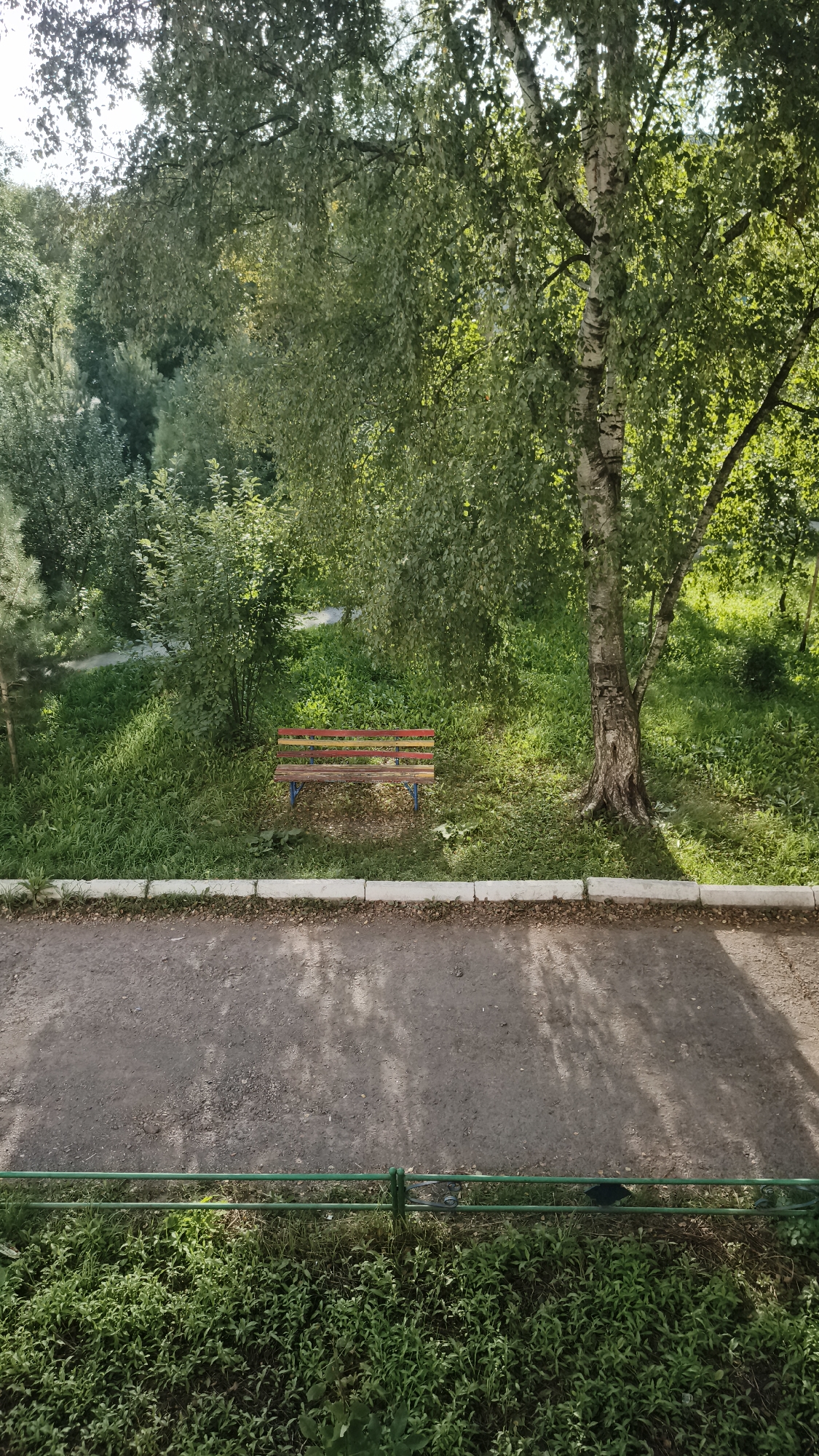 The image shows a park-like area with dense green foliage and trees. In the foreground, a paved pathway is visible, bordered by a green metal fence. Beyond the fence, a patch of green grass leads to a solitary wooden bench with multi-colored slats of red, yellow, and blue. The bench sits in a grassy area under the shade of a large birch tree with a textured, light-colored trunk. The background consists of more trees and greenery, suggesting a natural or park setting. The scene is lit by sunlight, casting dappled shadows from the trees onto the pathway and the ground. The image appears to be taken from an elevated perspective, looking down onto the scene. The location is identified as Kaltan, Russia.