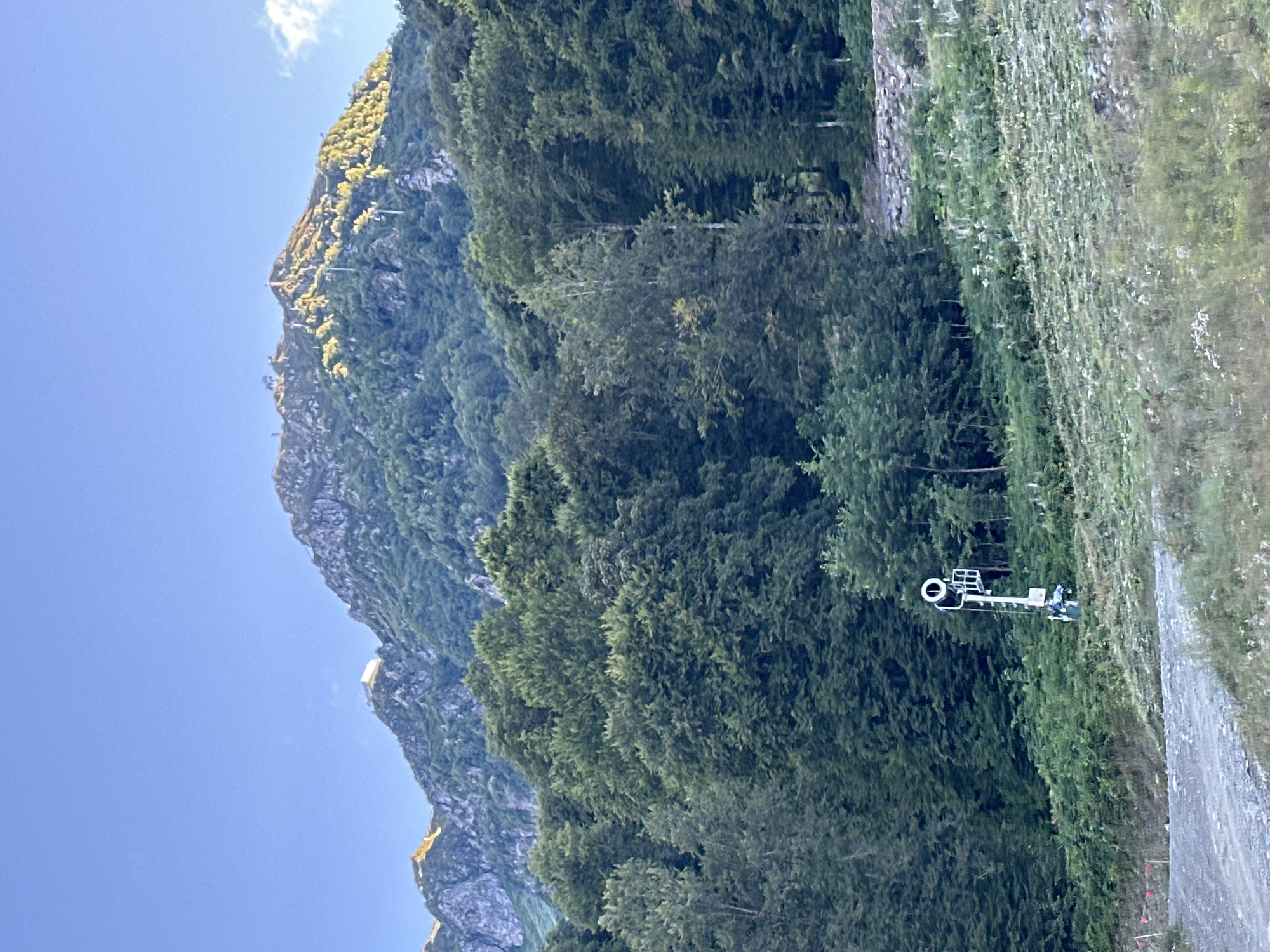 A frontal, eye-level shot captures a lush mountain landscape under a clear blue sky, possibly taken in Estosadok, Russia. The scene is dominated by a towering mountain covered in dense green forest, with its upper reaches bathed in warm sunlight. In the foreground, a dirt path winds through a grassy slope dotted with small white flowers. A white signal pole with a circular light and a small rectangular structure at its base stands prominently on the right side of the path. The overall impression is one of natural beauty and tranquility.