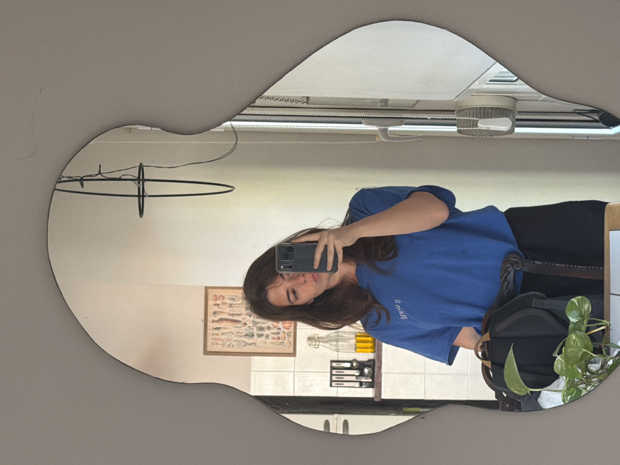A person is taking a selfie in a mirror with an irregular, organic shape. The mirror reflects a room interior. The subject is wearing a blue t-shirt and black pants. Behind the person in the reflection are a framed picture of fishes, decorative bottles, and other items. The ceiling is visible. A plant is on a surface in front of the mirror. Vicente López, Argentina, is not explicitly discernible from the provided image.