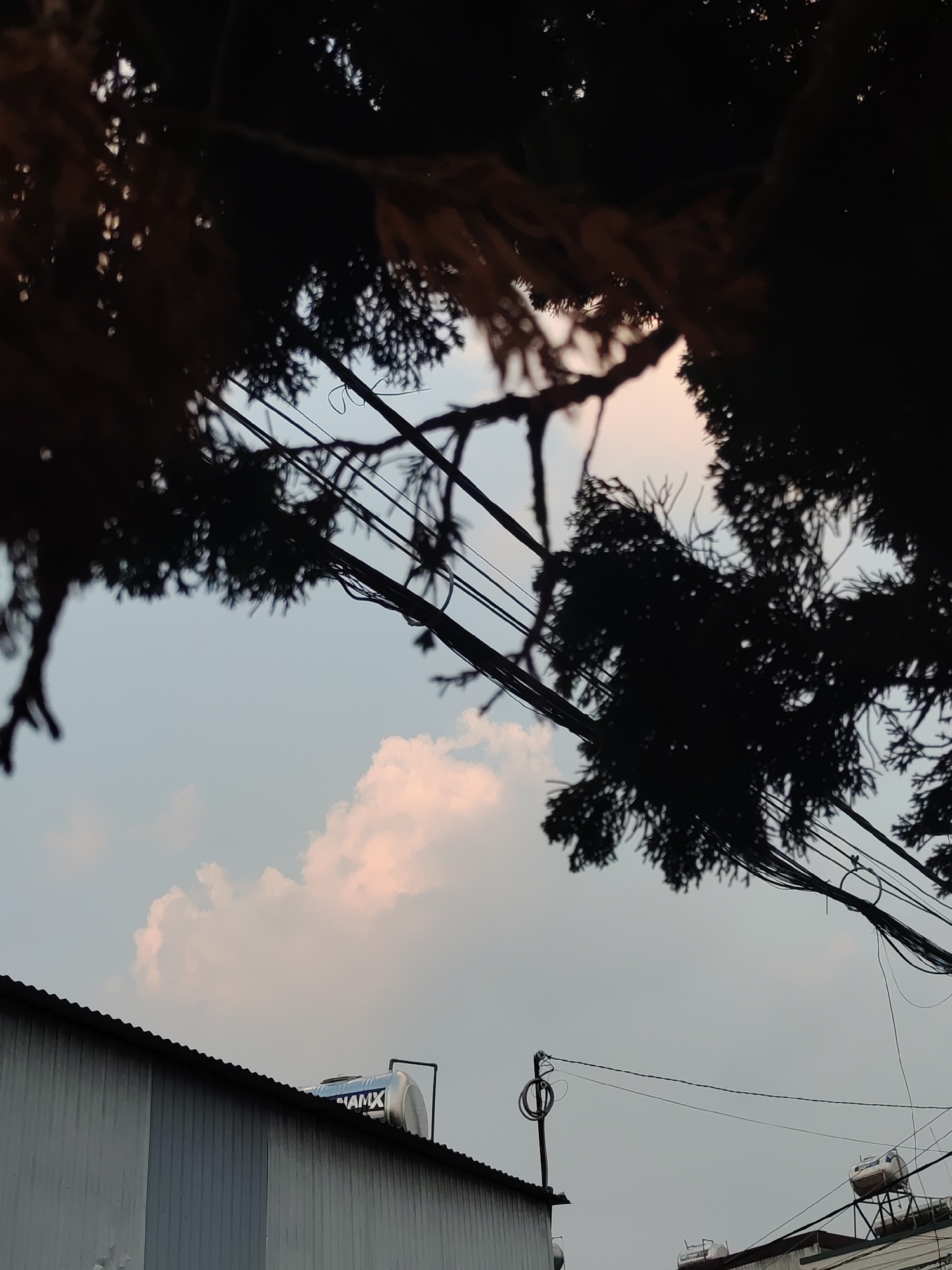 The image is taken from a low angle, looking up at the sky framed by tree branches and power lines.
Environment: The sky is light blue with some pink-tinged clouds. The silhouettes of tree branches are visible in the foreground. There are buildings with corrugated metal roofs. Power lines are strung across the view.
Objects: There are water tanks on the roofs of the buildings. There is a metal pole with electrical equipment attached to it.
Location: It is likely taken in a residential area of Da Lat, Vietnam, based on the architecture of the buildings and the tangled power lines.