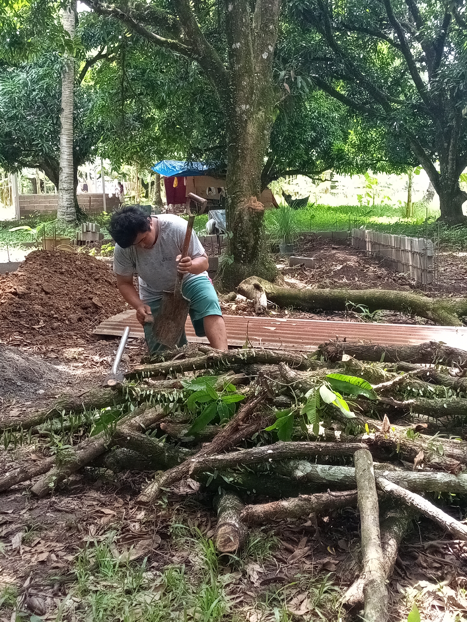 The image shows a man digging in a yard with trees, in Davao City, Philippines. The man is wearing a grey t-shirt and teal shorts. He's using a shovel to move dirt from a pile. In the foreground, there are piles of branches and logs with leaves. Corrugated metal sheets and concrete blocks are visible in the background, possibly construction materials for a raised garden bed or small structure. In the distance, there's a small shelter or tent with a blue tarp roof. The environment appears to be a rural or semi-rural area with lush vegetation.