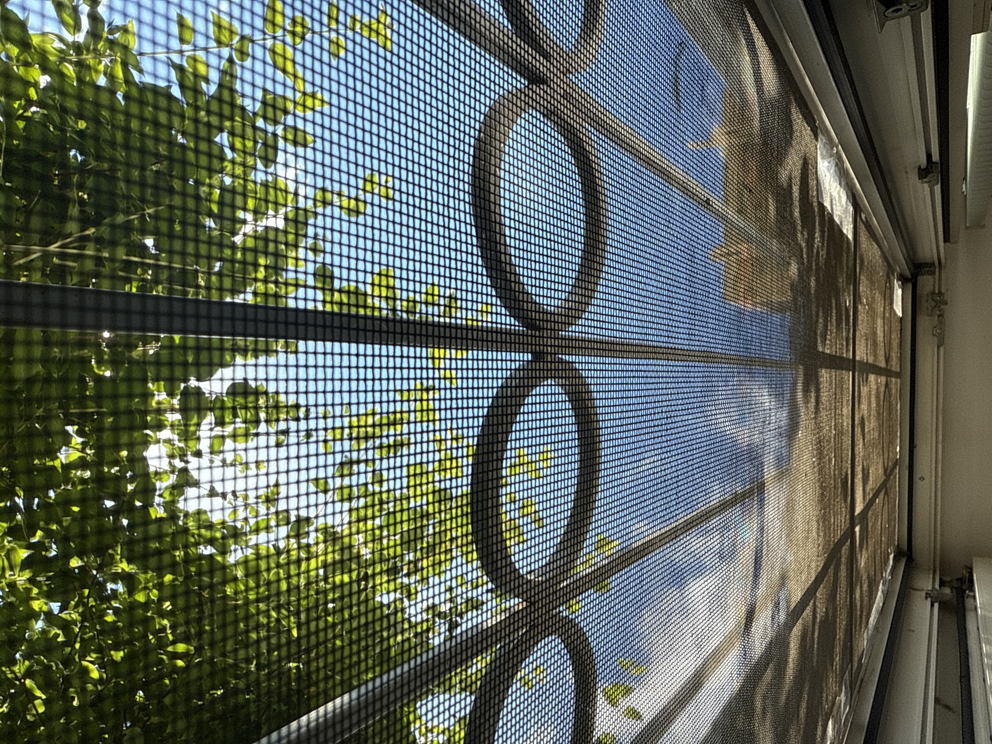 The image shows a close-up, low-angle view through a screen door or window. The screen has a mesh pattern and a decorative metal grill with three large, circular openings. Beyond the screen, the sky is bright blue, with sunlight filtering through green leaves and branches of trees. The sunlight casts shadows on the screen, creating a grid-like pattern. The top of the image shows part of a window frame or door frame, with some dirt and debris accumulated on the surface. The scene appears to be outdoors, likely on a sunny day. There are no people or animals visible in the image. The location is identified as Khimki, Russia.