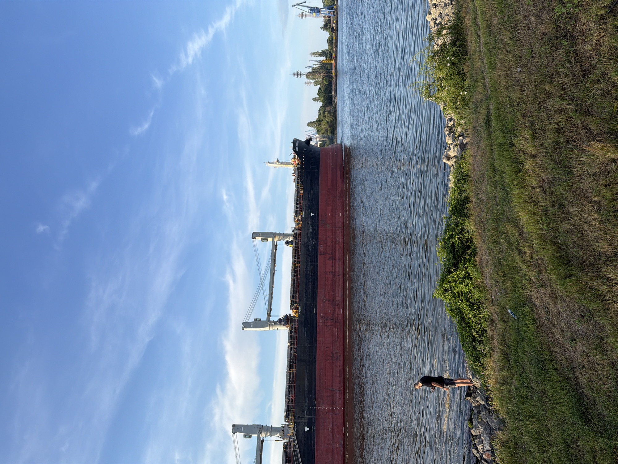 A large cargo ship with a black hull and red bottom, featuring two large cranes, sails on a blue body of water. A lone individual in dark clothing stands on a rocky shore, facing the water, and appears to be holding a phone. The shore is lined with grass and some vegetation, with rocks visible along the water's edge. In the background, industrial cranes and trees are visible against a bright blue sky with scattered white clouds. The scene is consistent with the Varna Port area, known for its industrial activity and maritime traffic.