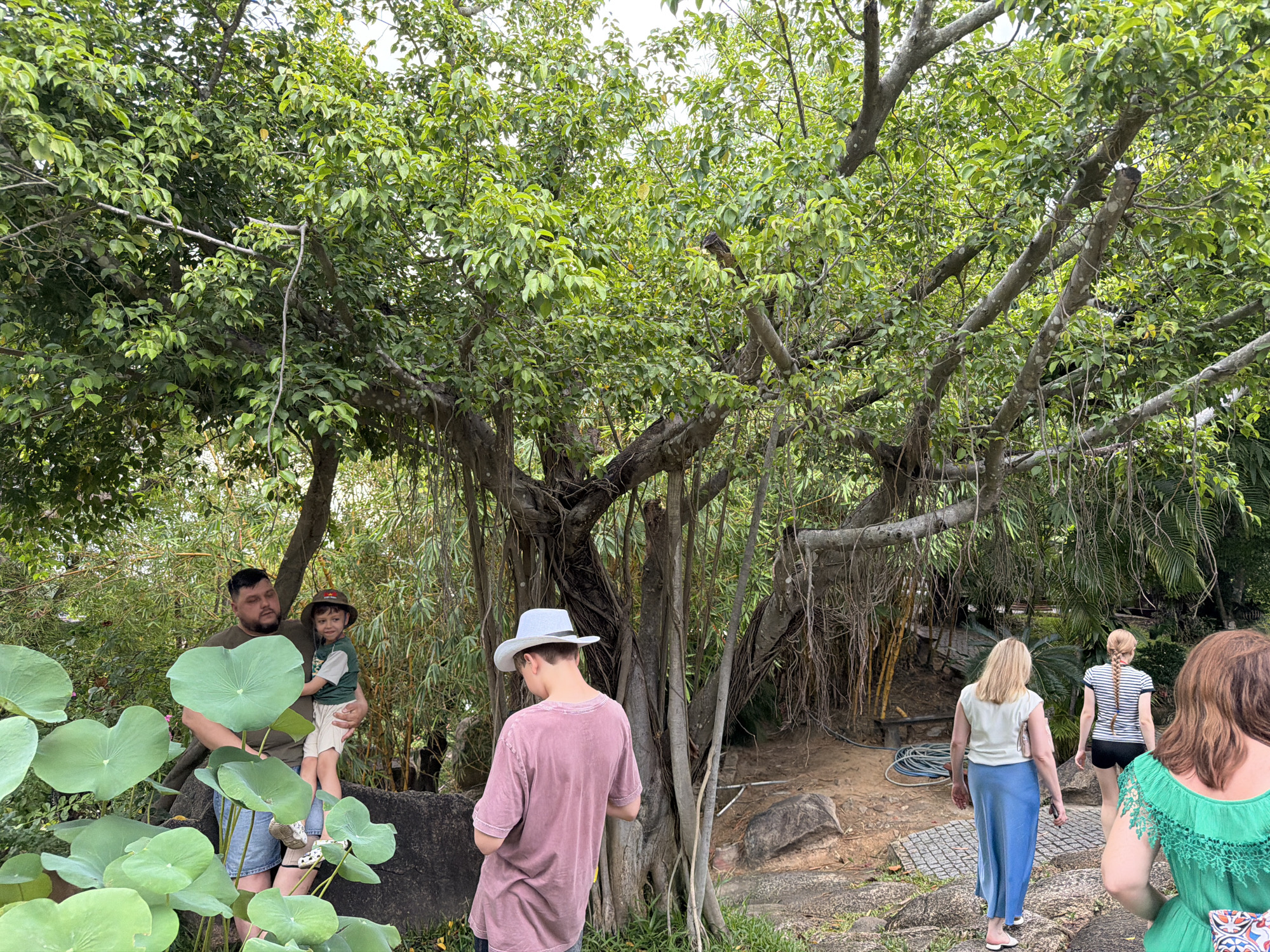 The image depicts a group of people at the VinWonders Nha Trang amusement park, Vietnam. In the foreground, a man is holding a young child while standing near large lily pads. To the right, a person wearing a pink t-shirt and a white hat is visible from the back. Further in the background, two women and another person are walking away from the camera on a paved path, surrounded by lush greenery and large trees with hanging roots. The overall environment suggests a tropical garden or zoo setting within the amusement park.