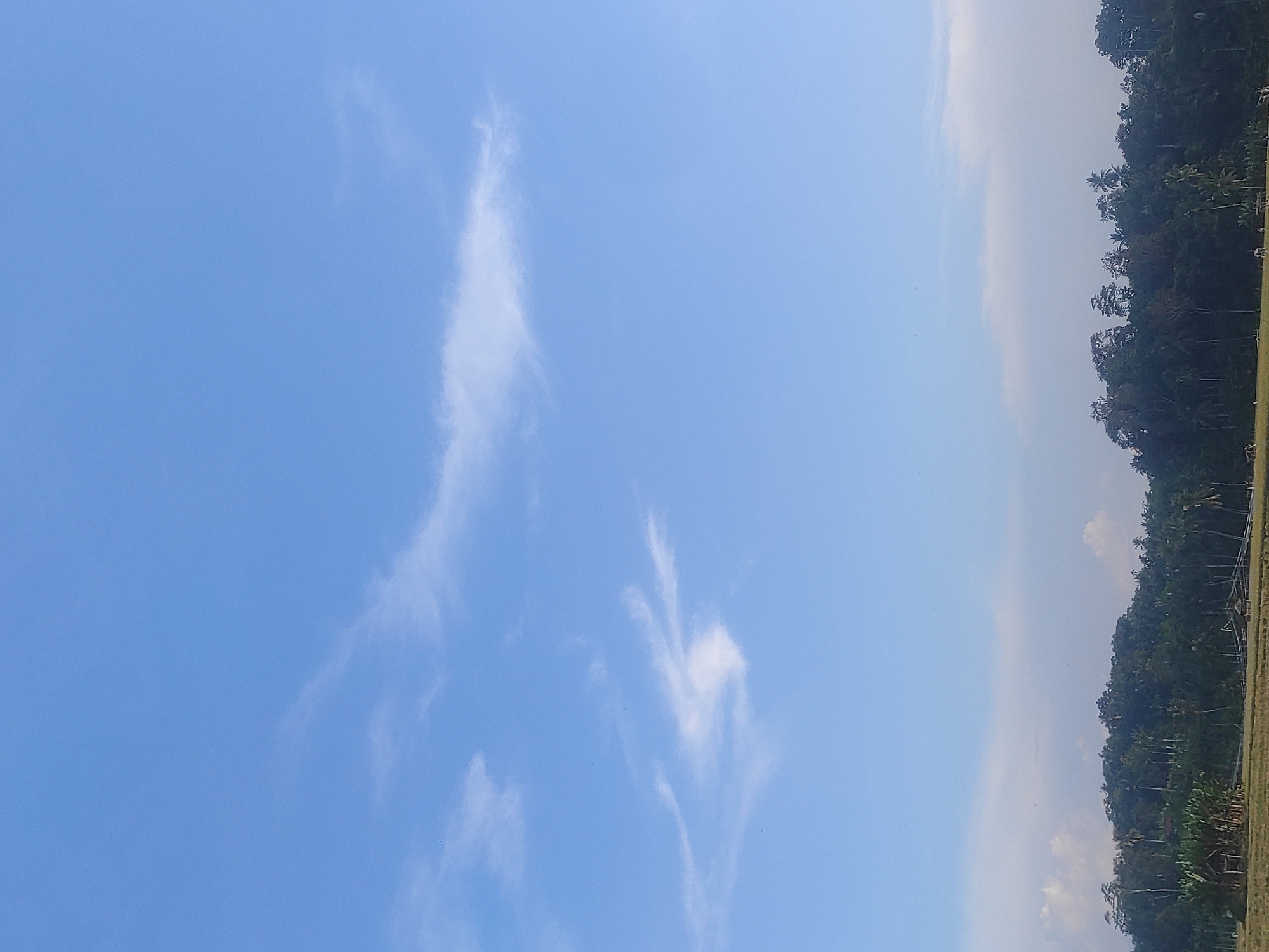 The image depicts a clear blue sky with scattered cirrus clouds. On the right side of the frame, there is a dense row of trees and vegetation, suggesting a forest or agricultural area. The location is Lhokseumawe, Indonesia. There are no people visible in the image. The environment appears to be a rural or semi-rural landscape.
