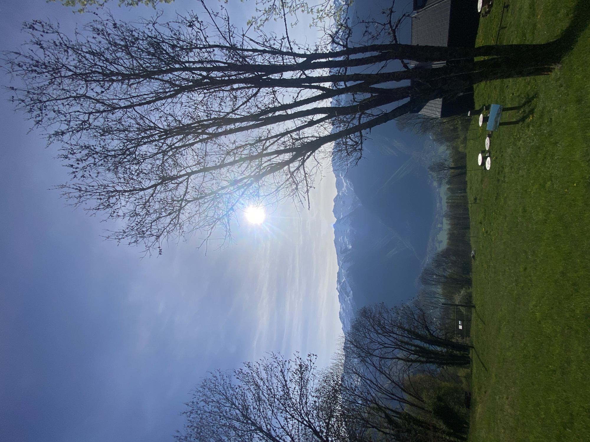 A bright and sunny outdoor scene unfolds in Saint-Georges-d'Hurtières, France, featuring a vibrant landscape with prominent mountains, green fields, and trees under a clear blue sky.
In the foreground, the silhouetted branches of a large, bare deciduous tree dominate the upper portion of the image, showing no leaves but some nascent buds. Another bare tree is visible towards the bottom left. The sun, high in the sky, is a brilliant white orb in the upper left, casting a strong lens flare and illuminating the scene. The sky is a gradient of blue, with some wispy, elongated clouds stretching across the middle from left to right.
The midground features a wide expanse of neatly maintained green grass, likely a lawn or pasture. Arranged on the grass, leading towards the right, are several light-colored, circular discs (possibly white or metallic) resembling stepping stones or part of an artistic display. Further right, a rectangular, reflective panel on a stand is also visible on the grass. Partially visible on the far right is a building with a dark-tiled roof. In the distant midground, more trees line the horizon, some showing hints of light green, suggesting early spring foliage.
The background is dominated by a majestic range of mountains, their peaks capped with snow, stretching across the entire width of the frame. The mountains appear hazy blue in the distance. The overall impression is one of a serene, natural environment on a clear, bright day, likely in early spring given the bare trees and snow-capped peaks. No discernible human activity or visible text is present.