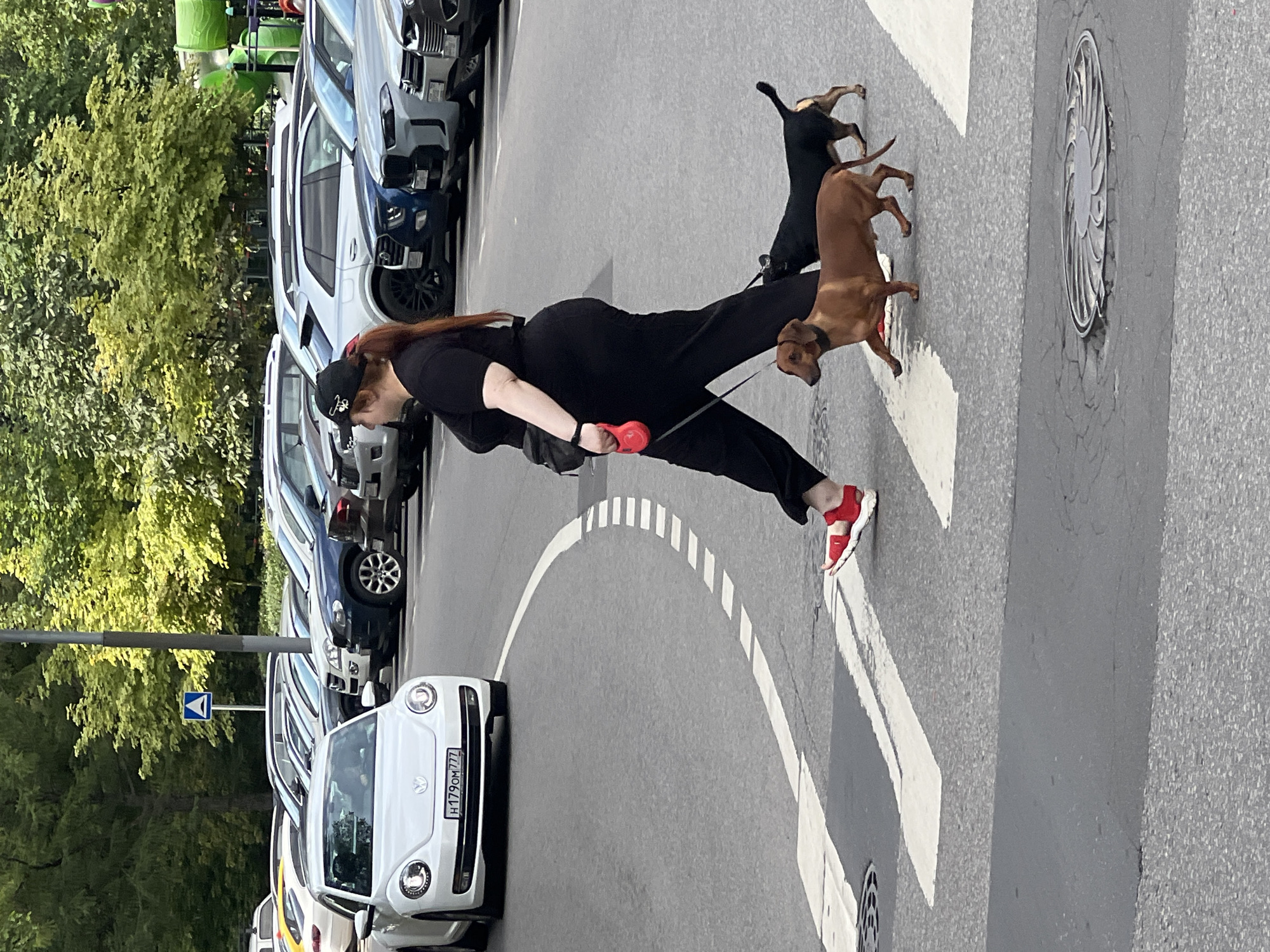 A full-bodied woman with dark hair, wearing a black cap, black shirt, black pants, and red sneakers, is walking across a crosswalk with two dogs on leashes. One dog is a brown dachshund, and the other is a black terrier mix. They are walking from right to left. In the background, there are multiple parked cars and trees. The scene appears to be in a city, possibly Moscow, Russia, given the presence of cars and urban infrastructure. The lighting suggests it is daytime.