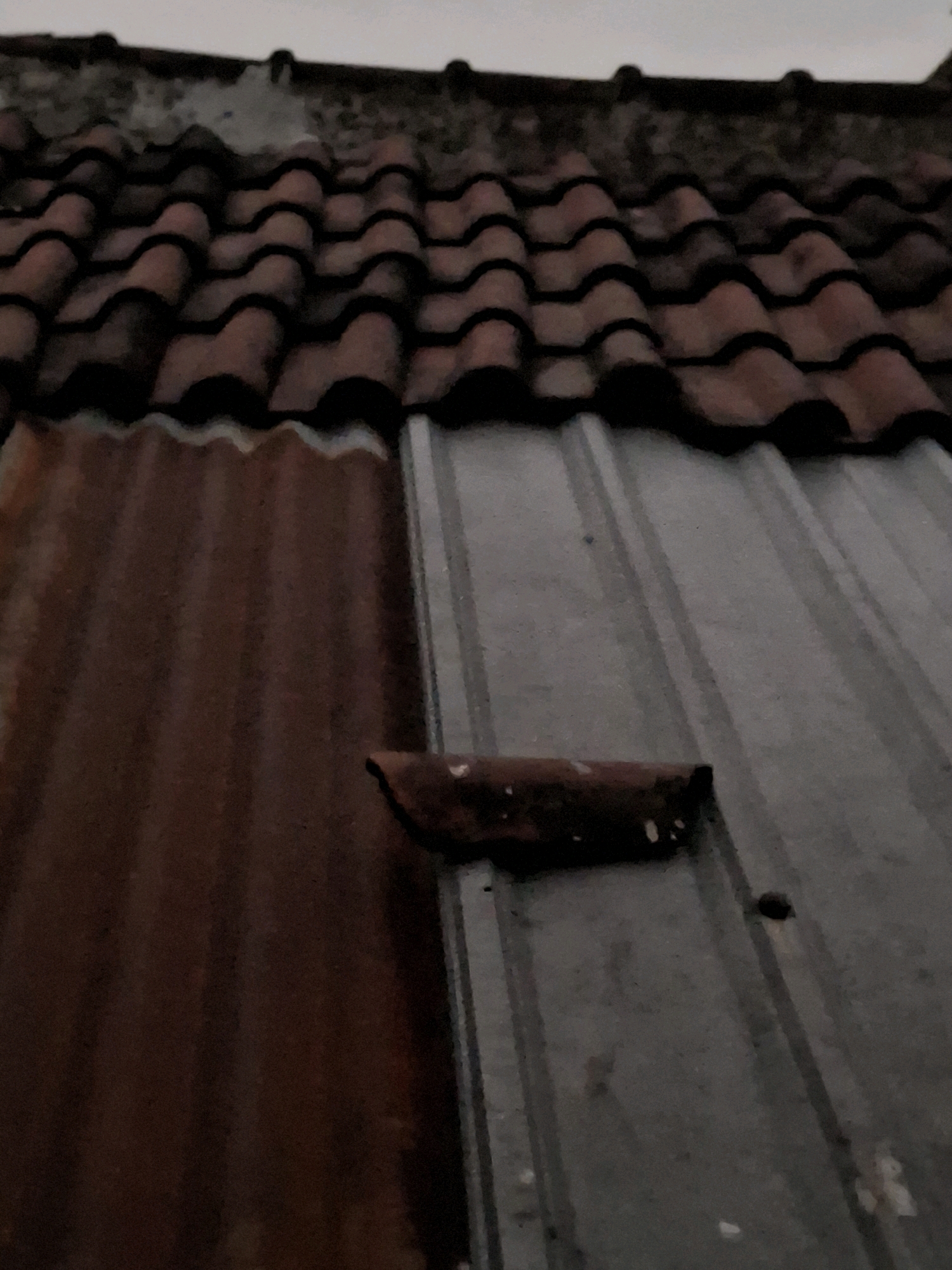 The image shows a close-up view of a roof in Lumajang, Indonesia. The roof is partially covered with terracotta tiles and partially with corrugated metal sheeting. The terracotta tiles are a reddish-brown color and are arranged in an overlapping pattern. The corrugated metal sheeting is a dull gray color and appears to be weathered and rusted in some areas. A small, dark object, possibly a piece of debris or a broken tile, is visible on the corrugated metal sheeting. The sky is visible in the background and appears to be overcast or cloudy. The overall impression is one of an aged and somewhat neglected roof, typical of older structures in many Indonesian cities.