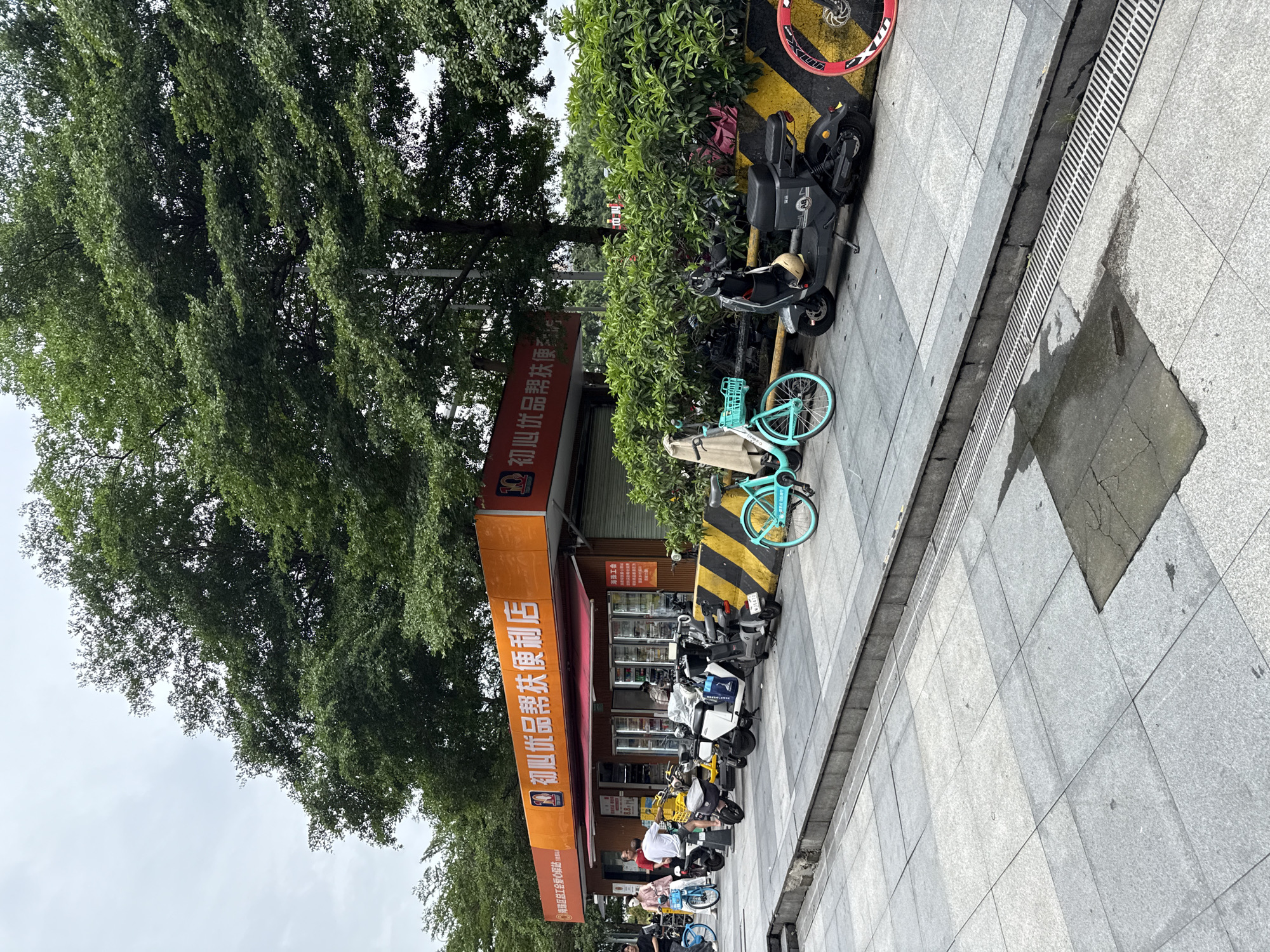 In Haizhu District, China, a street scene unfolds in front of a bright orange convenience store with large windows displaying refrigerated items and red awnings. The store's signage is in Chinese. Parked along the sidewalk are numerous electric scooters and bicycles. A turquoise bicycle with a basket sits prominently in the foreground. Further down, a dark grey electric scooter is parked, and to its right, a portion of a red bicycle wheel is visible. Behind these vehicles, a dense green hedge forms a backdrop. Several people are visible near the store, with one woman in a pink top and white mask and another person in a white shirt standing near a yellow scooter. The ground is paved with large grey tiles, and a metal grate runs along the edge of the sidewalk. Tall trees with lush green foliage overhang the scene. The sky is overcast.