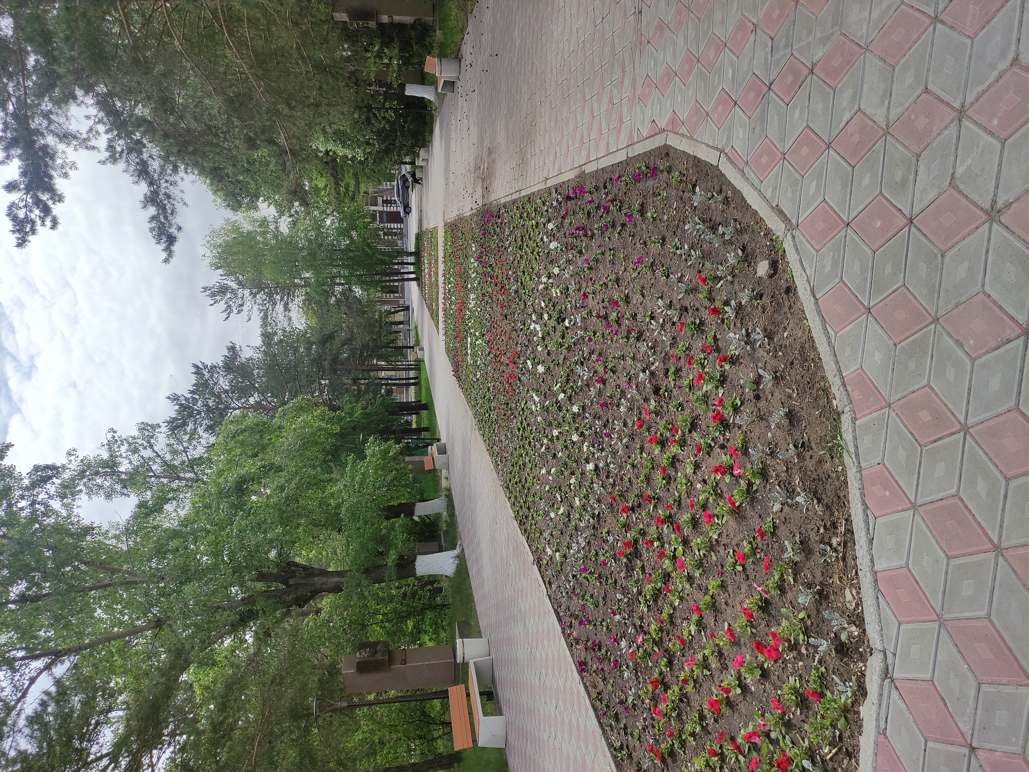 The image depicts a view of a flowerbed along a pathway in a park. The pathway is paved with interlocking gray and pink pavers in a geometric pattern. The flowerbed is filled with a variety of small flowers in red, white, and purple hues. To the left of the pathway, there are trees and benches, suggesting a park or garden setting. In the background, there are additional trees and possibly a building or structure. Based on the context provided, the image is likely taken in the city of Pavlodar, Kazakhstan.