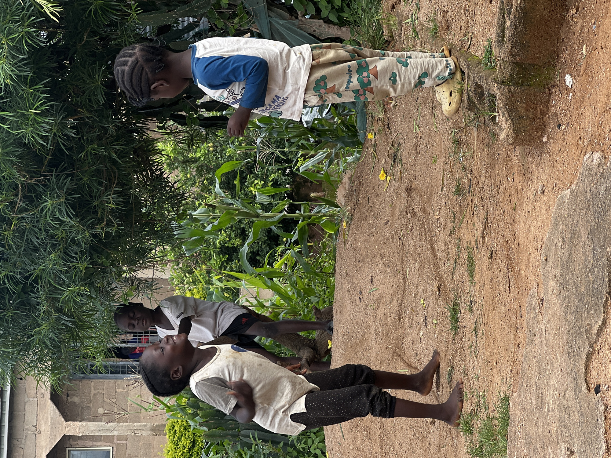 In Jos, Nigeria, three children are engaged in outdoor activity. A young girl in the foreground, wearing a light-colored t-shirt and patterned leggings, is captured mid-gesture with a bright smile, her body angled as if in conversation or play. Behind her, a boy in a white t-shirt and dark shorts stands with his eyes closed, seemingly unaware or in a moment of rest. To the right, another child, dressed in a blue-sleeved shirt and patterned pants, faces away from the camera, their back turned towards the viewer. They are all positioned on a patch of reddish-brown earth, surrounded by lush green foliage, including corn stalks and various shrubs. A building constructed from cinder blocks is visible in the background, suggesting a residential or communal area. The overall scene depicts a candid moment of childhood in an outdoor, possibly rural or semi-urban, environment.