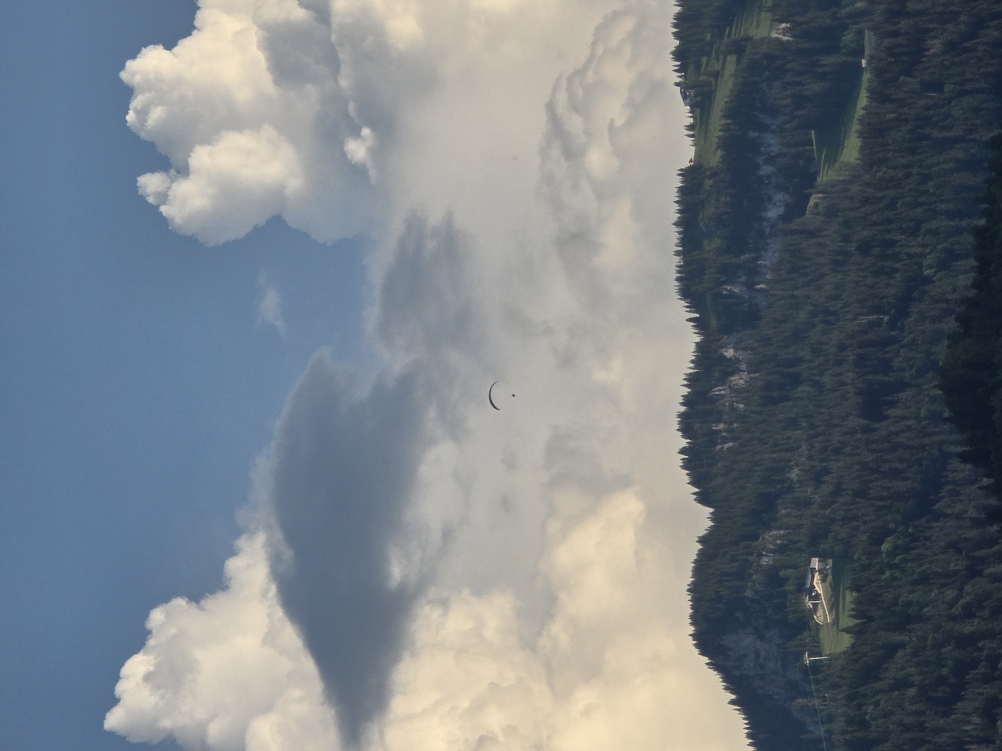 The image captures a scenic view of a mountainous landscape, likely in or near Garmisch-Partenkirchen, Germany, given the presence of alpine features. In the upper portion of the frame, a clear blue sky is visible, punctuated by dramatic, fluffy white clouds and darker, more ominous cloud formations.
Mid-frame, a lone paraglider is captured in mid-flight, suspended against the cloudy sky. The paraglider appears as a small, dark silhouette with its canopy clearly defined.
The lower half of the image is dominated by a densely forested mountain slope. The trees, predominantly evergreens, form a thick, dark carpet across the undulating terrain. Interspersed within the treeline and on lighter green patches of clearings are several buildings. One prominent structure, a complex with a light-colored facade and a sloping roof, is situated on a cleared area, possibly a ski lodge or mountain resort facility, accompanied by a ski lift tower. Other smaller, more rustic structures are visible further up the slope, suggesting scattered habitation or alpine huts. The rocky outcrops and varied shades of green on the mountain indicate a natural, rugged environment. The lighting suggests it is either early morning or late afternoon, with the sun casting a warm glow on some of the clouds and highlighting certain areas of the mountain.