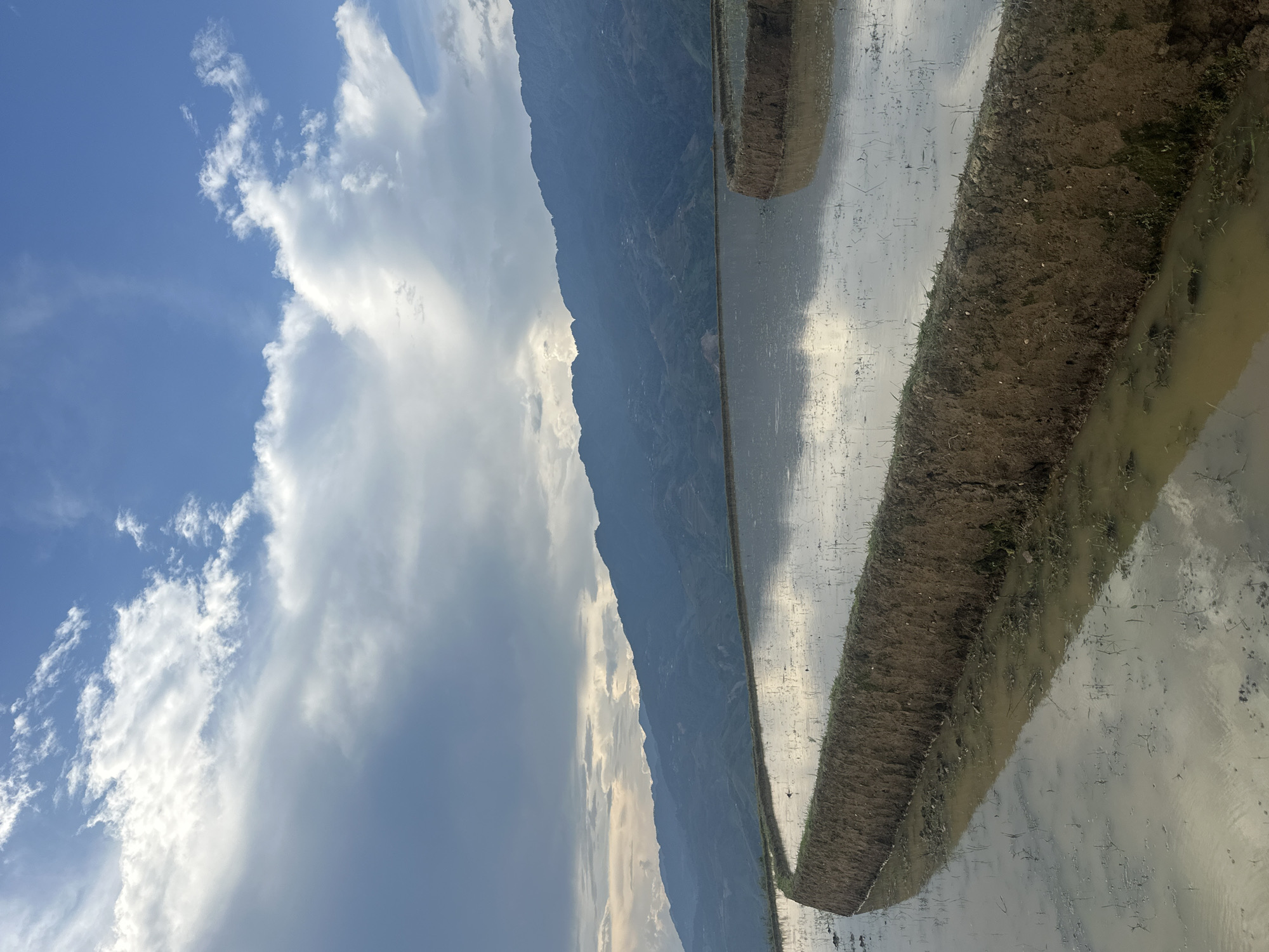 This serene landscape photograph captures a mountainous region in Lao Chai, Vietnam, featuring flooded agricultural terraces under a dynamic sky. The image is composed of three main horizontal sections: sky, mountains, and rice paddies.
In the upper half, the sky displays a vibrant blue on the left, transitioning into a broad expanse of white and grey clouds. These clouds range from bright, fluffy cumulus formations, brilliantly illuminated by sunlight, to more diffuse, softer patterns, indicating a partly cloudy day.
The middle ground is dominated by a majestic mountain range stretching across the horizon. These mountains appear dark blue-grey, suggesting dense foliage or being partially shrouded in shadow. Their rugged peaks underscore the mountainous terrain of the region.
The lower half of the photograph showcases flooded rice paddies, typical of terraced farming. The water in these paddies acts as a reflective surface, mirroring the sky and cloud formations above, creating striking visual depth. Earthen embankments or ridges, separating individual paddy sections, traverse the foreground. These dark brown, textured strips of land, dotted with sparse green vegetation, contrast sharply with the smooth, reflective water. One prominent ridge extends from the mid-right towards the lower-left. The water itself varies in tone, reflecting the bright sky in some areas while appearing a slightly turbid brown in others, particularly near the edges of the embankments.
The lighting suggests it is either late morning or afternoon, with strong natural light illuminating the clouds and creating clear reflections. The atmosphere is tranquil, highlighting the natural beauty and agricultural practices of the Vietnamese highlands. There are no people or visible text in the image.