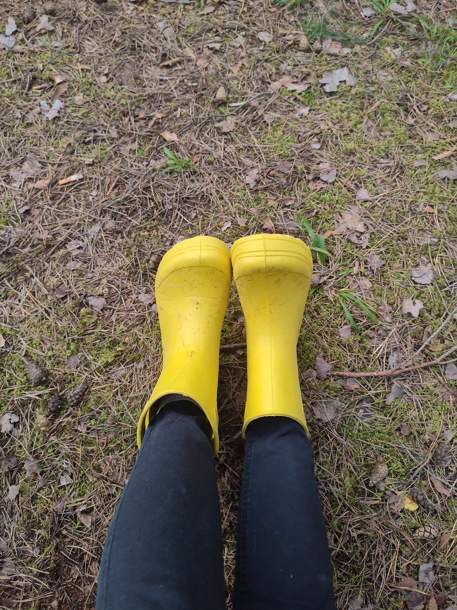 A first-person perspective shot shows a pair of yellow rubber boots, worn with black pants, standing on a forest floor covered in pine needles, dried leaves, and moss. The boots are positioned close together and angled slightly outward. The environment appears to be a natural woodland area, likely within or near Варнянскі сельскі Савет, Belarus, given the commonality of such terrain in the region.