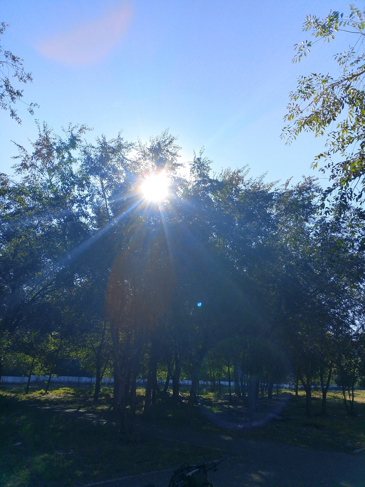 The image depicts a sunlit scene in Kyzyl, Russia, characterized by a clear blue sky with the sun intensely shining through the dense foliage of trees. The sun's rays create a starburst effect, illuminating the leaves and casting dappled shadows on the ground. The trees appear to be deciduous, with their leaves in full bloom, suggesting a warm season. The ground beneath the trees is covered with grass and dirt, with a path winding through the area. In the background, a white fence runs along the perimeter of the scene, separating it from what appears to be a road or urban area. The overall atmosphere is bright and natural, with a slight haze visible in the sky.