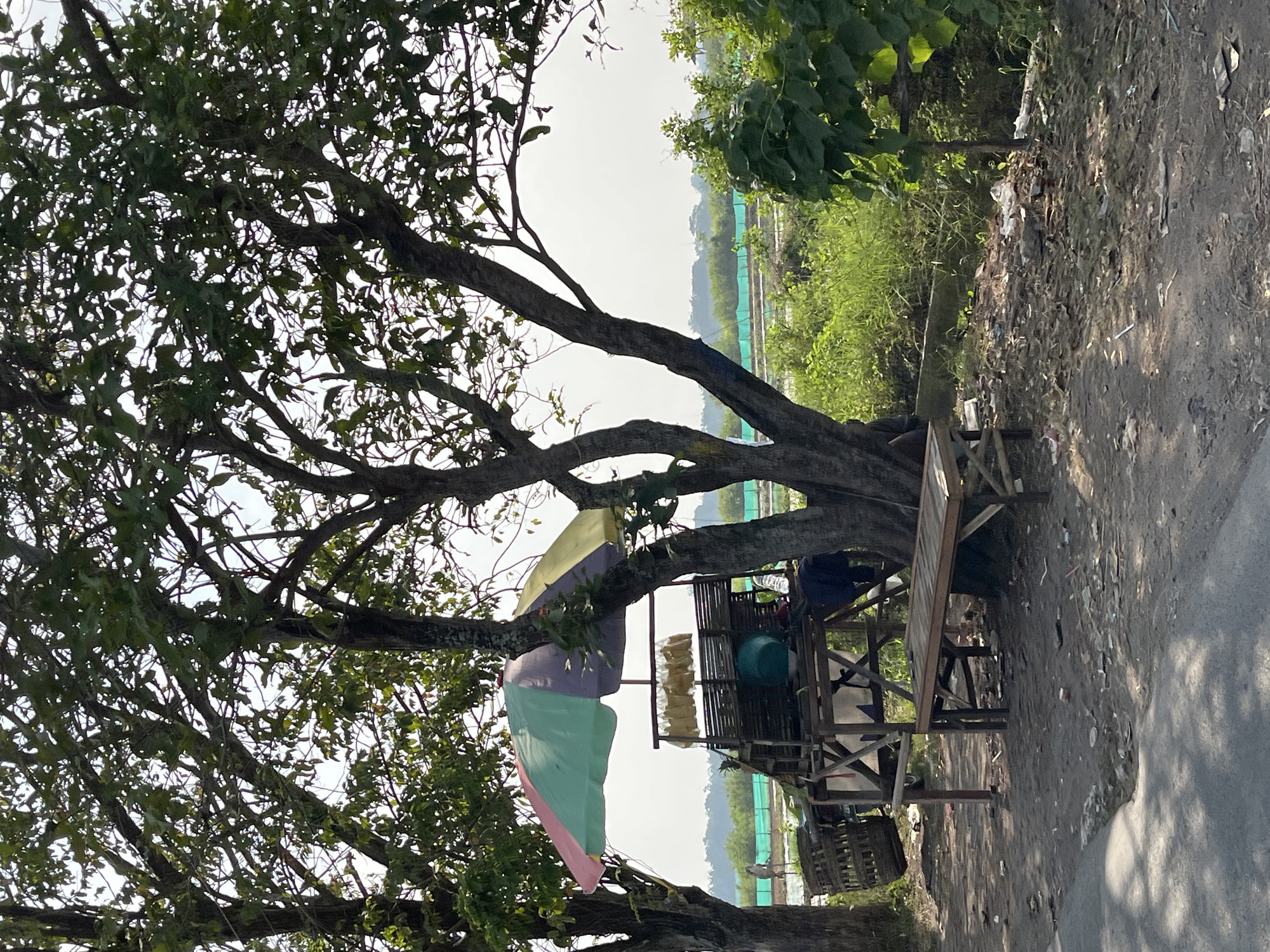 This image depicts a roadside scene in Gempolsari, Indonesia, under the dappled shade of trees. A small, makeshift stall with a multi-colored umbrella is set up, featuring wooden shelves displaying goods, a green basin, and a woven basket. A wooden bench sits in front of the stall. The ground around the stall is covered in dirt, debris, and scattered litter. Beyond the stall, a lush green landscape is visible, with areas that appear to be agricultural fields or water bodies, partially enclosed by green netting. The overall impression is one of a rural or semi-rural setting with a humble commercial operation.
