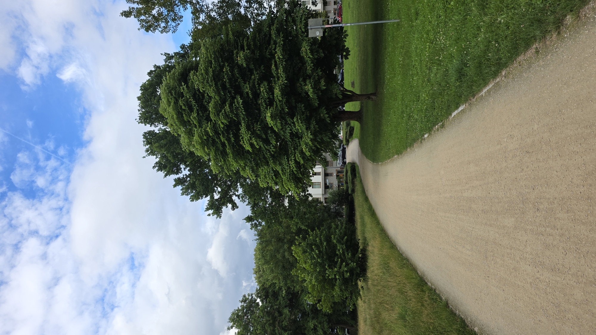 A dirt path curves through a park, bordered by green grass and trees. A large, lush tree stands prominently to the right of the path, its leaves full and green. In the background, buildings with white facades and dark roofs are visible, interspersed with more trees. The sky above is a mix of blue and white clouds, with a faint contrail from an aircraft visible. A few cars are parked in the distance. The scene appears to be a typical urban park setting.