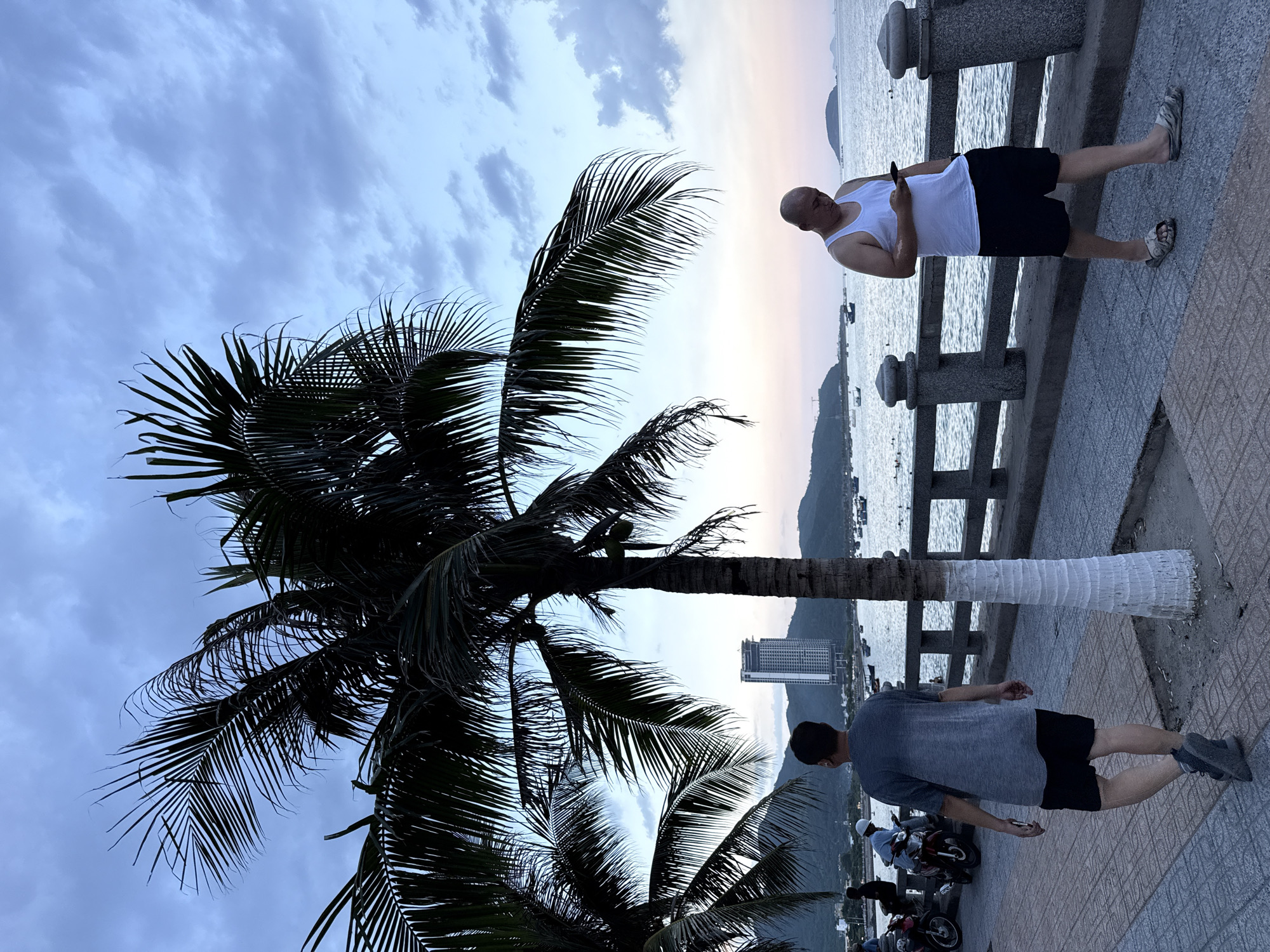 The image shows a seaside promenade in Nha Trang, Vietnam, during dusk. Two men are walking along the tiled walkway. The man on the left, facing away from the camera, wears a gray t-shirt and black shorts. The man on the right, also facing away, is bald, wearing a white tank top and black shorts, and is looking at his phone. A palm tree with a white-painted trunk stands between them. In the background, the calm sea is dotted with boats, and a tall, modern building rises behind distant hills. The sky is cloudy, with hues of blue and pink indicating the setting sun. The promenade has a stone railing with decorative pillars.